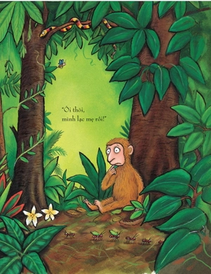 khỉ con tìm mẹ - Ảnh 5