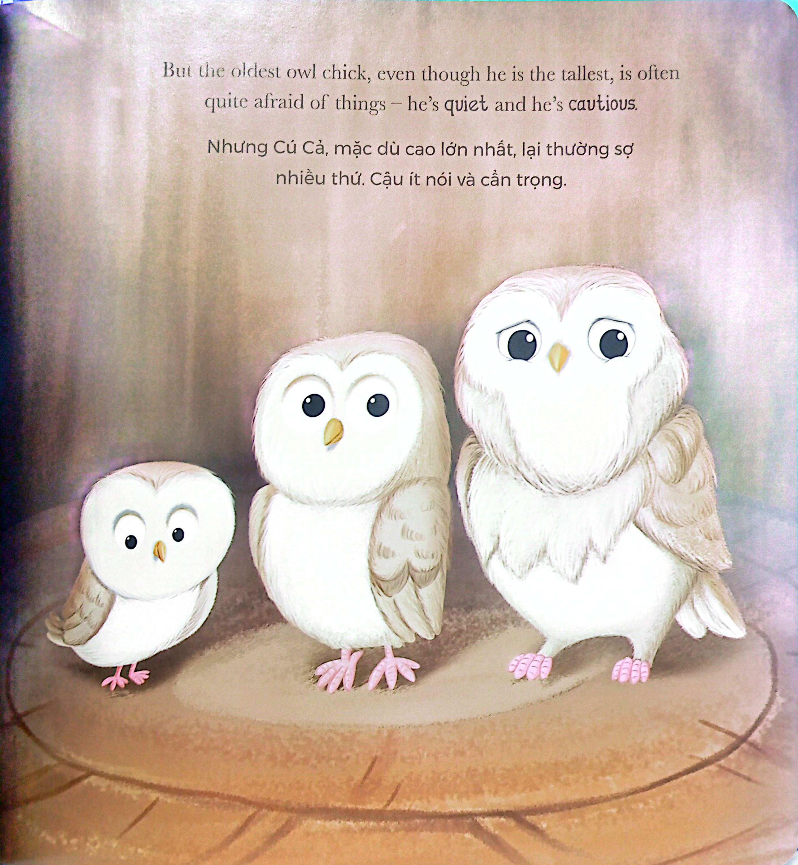 khi cú con sợ hãi - when owl feels scared (song ngữ anh-việt) - Ảnh 4