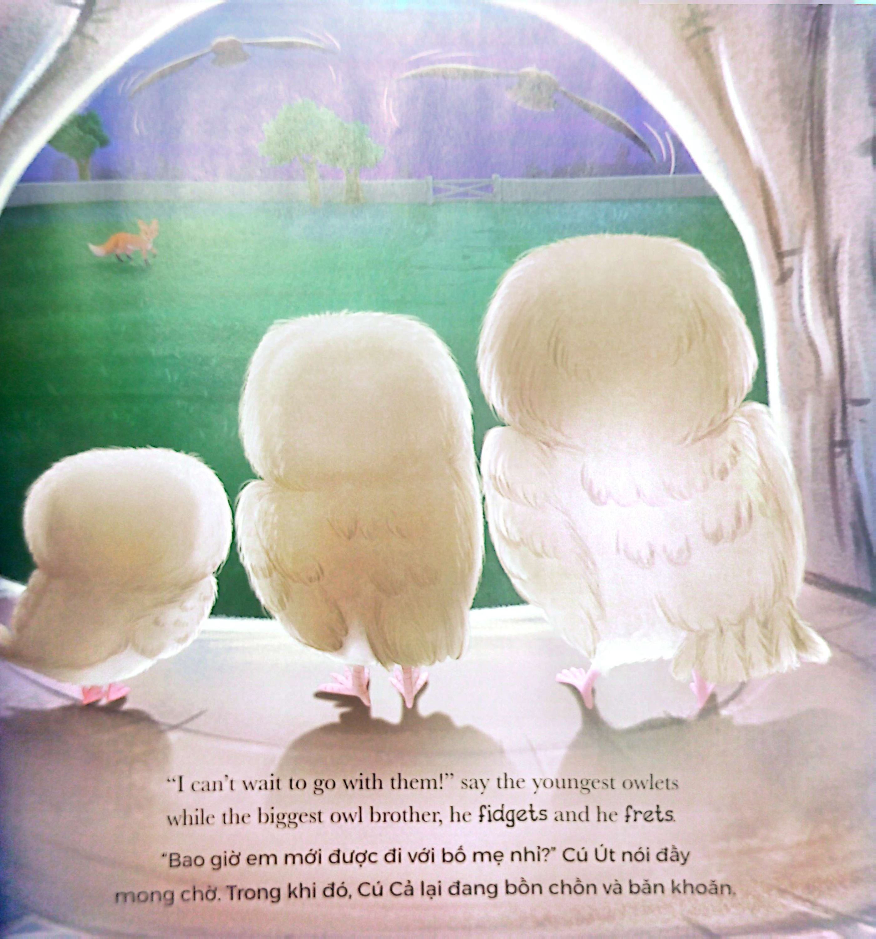 khi cú con sợ hãi - when owl feels scared (song ngữ anh-việt) - Ảnh 6