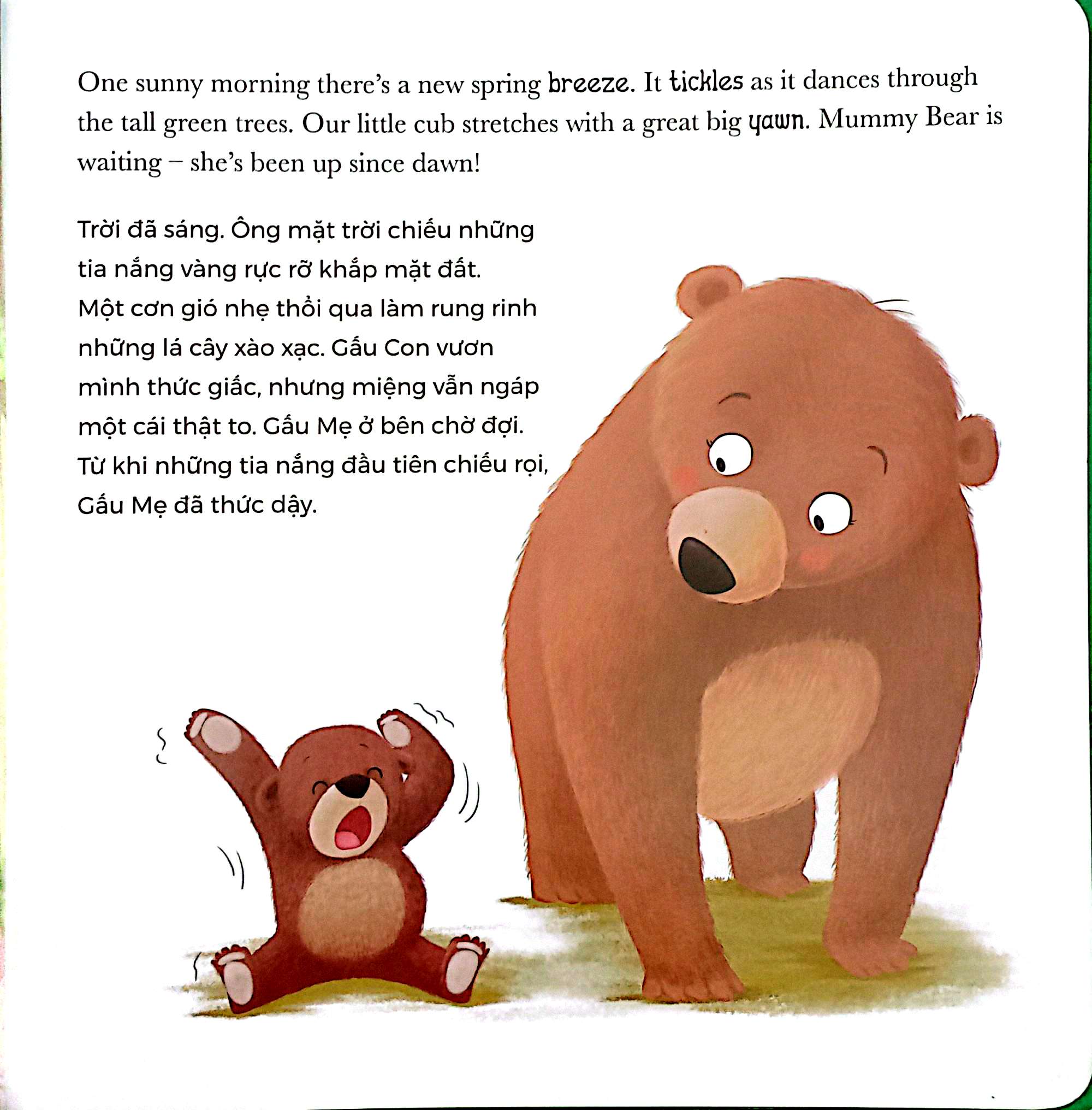 khi gấu con lo lắng - when bear feel worried (song ngữ anh-việt) - Ảnh 4