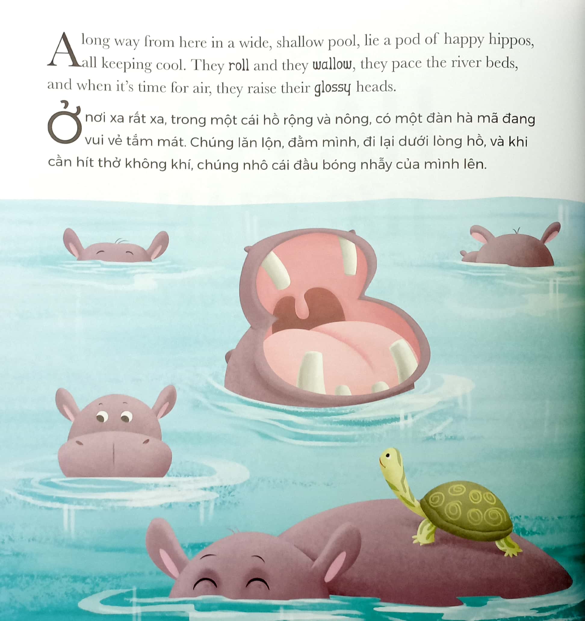 khi hà mã tức giận - when hippo gets angry (song ngữ anh-việt) - Ảnh 3