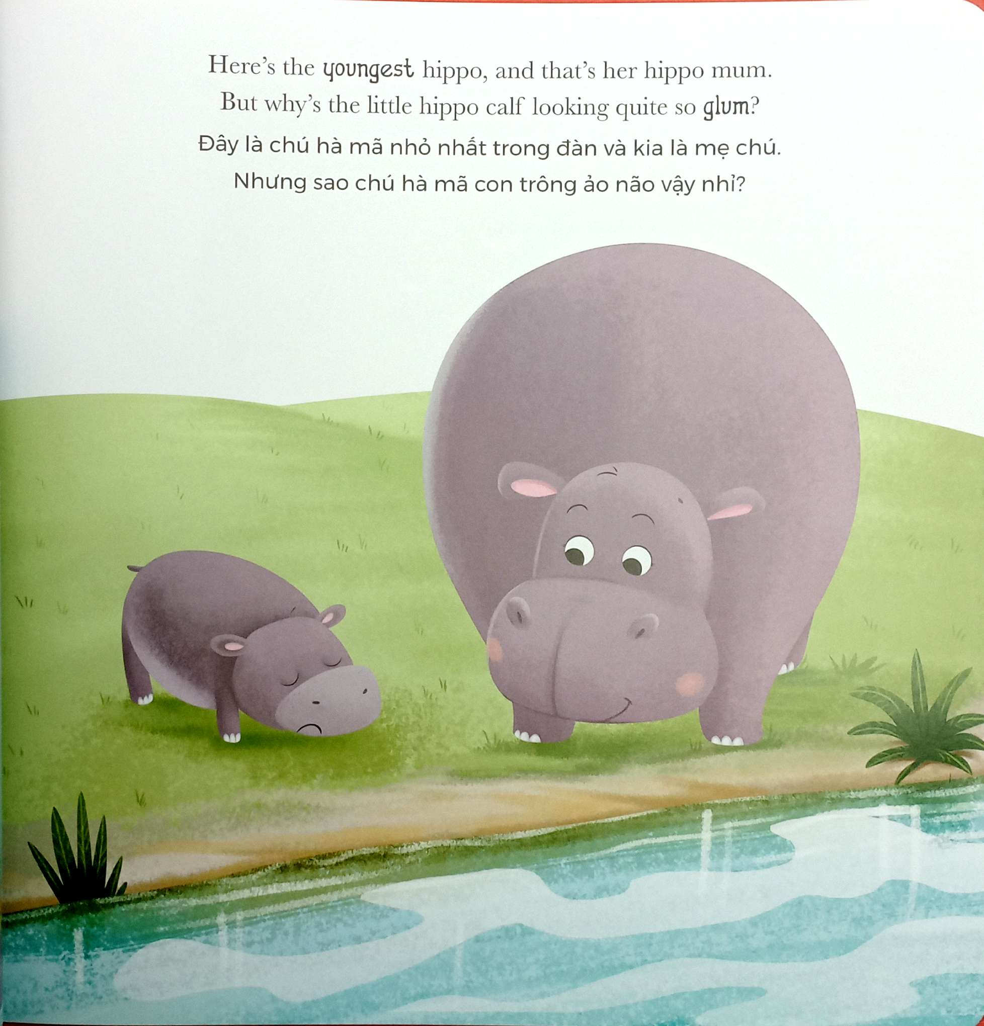 khi hà mã tức giận - when hippo gets angry (song ngữ anh-việt) - Ảnh 4