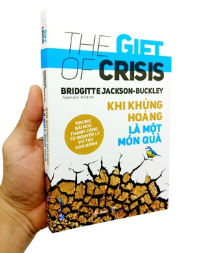 khi khủng hoảng là một món quà - the gift of crisis - Ảnh 9