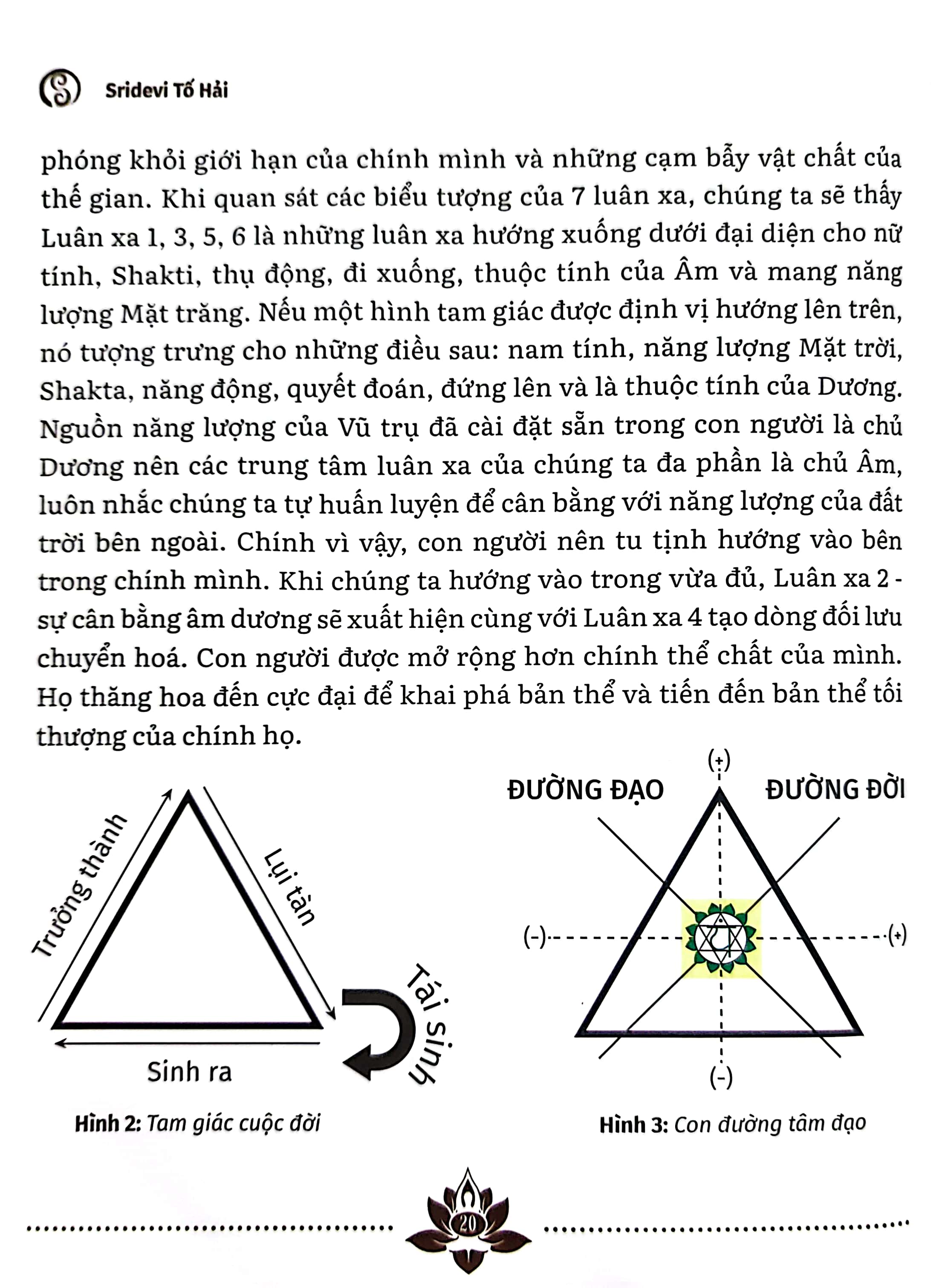 khí tâm trị liệu - ứng dụng luân xa chữa lành 5 thể con người (tái bản 2023) - Ảnh 15