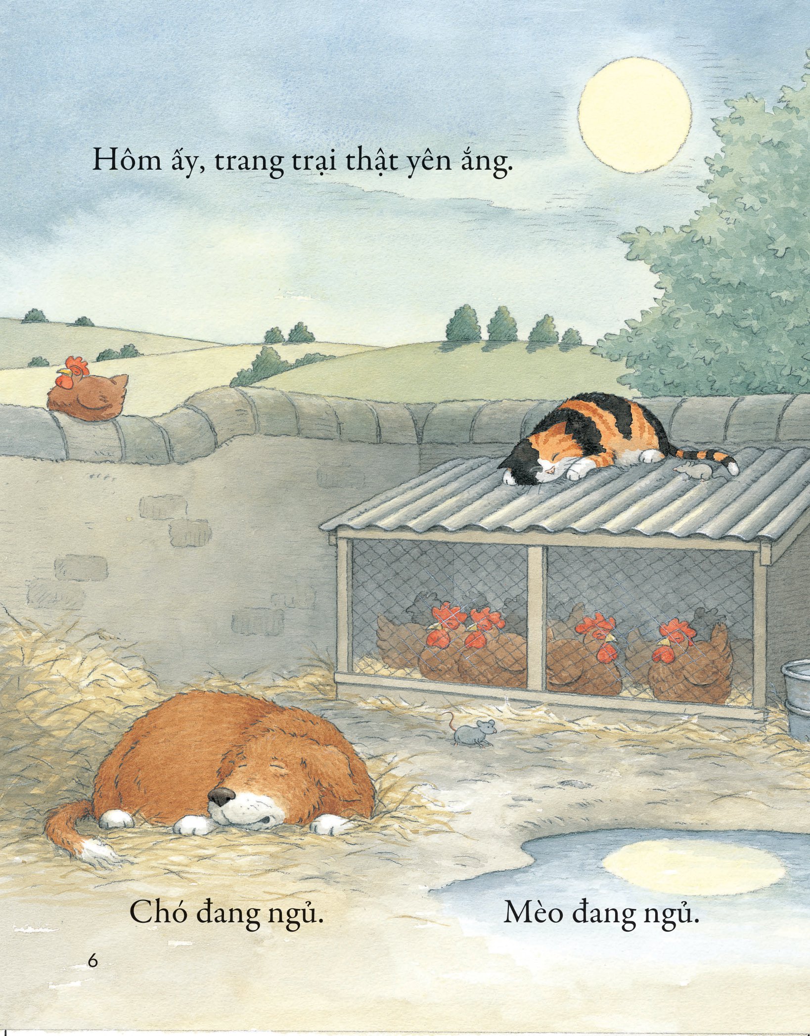 khò khò khò! ai ngáy to thế nhỉ? - Ảnh 3