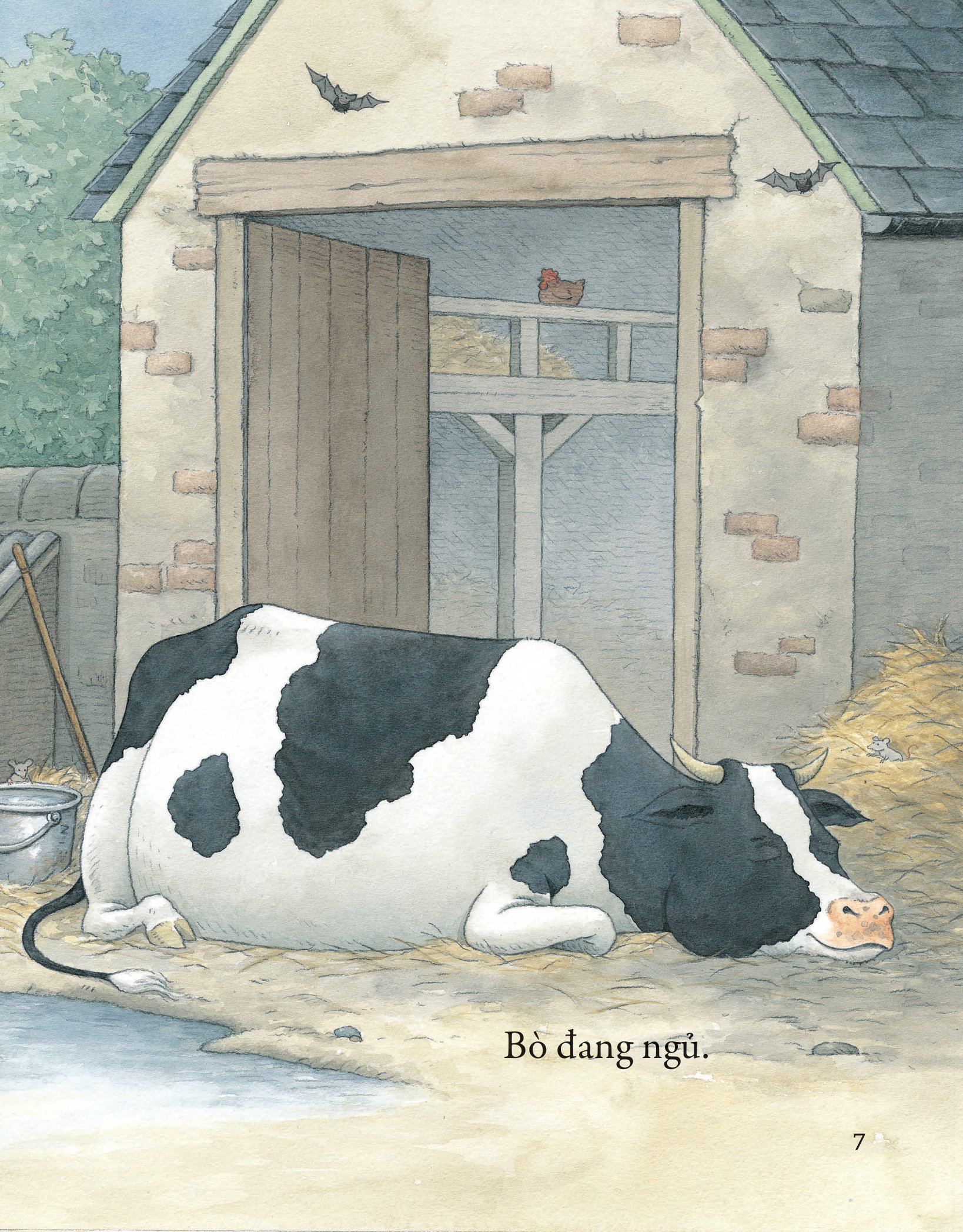 khò khò khò! ai ngáy to thế nhỉ? - Ảnh 4