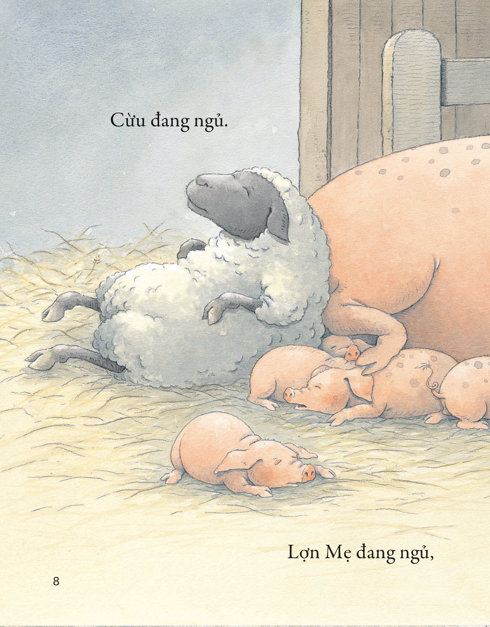 khò khò khò! ai ngáy to thế nhỉ? - Ảnh 5