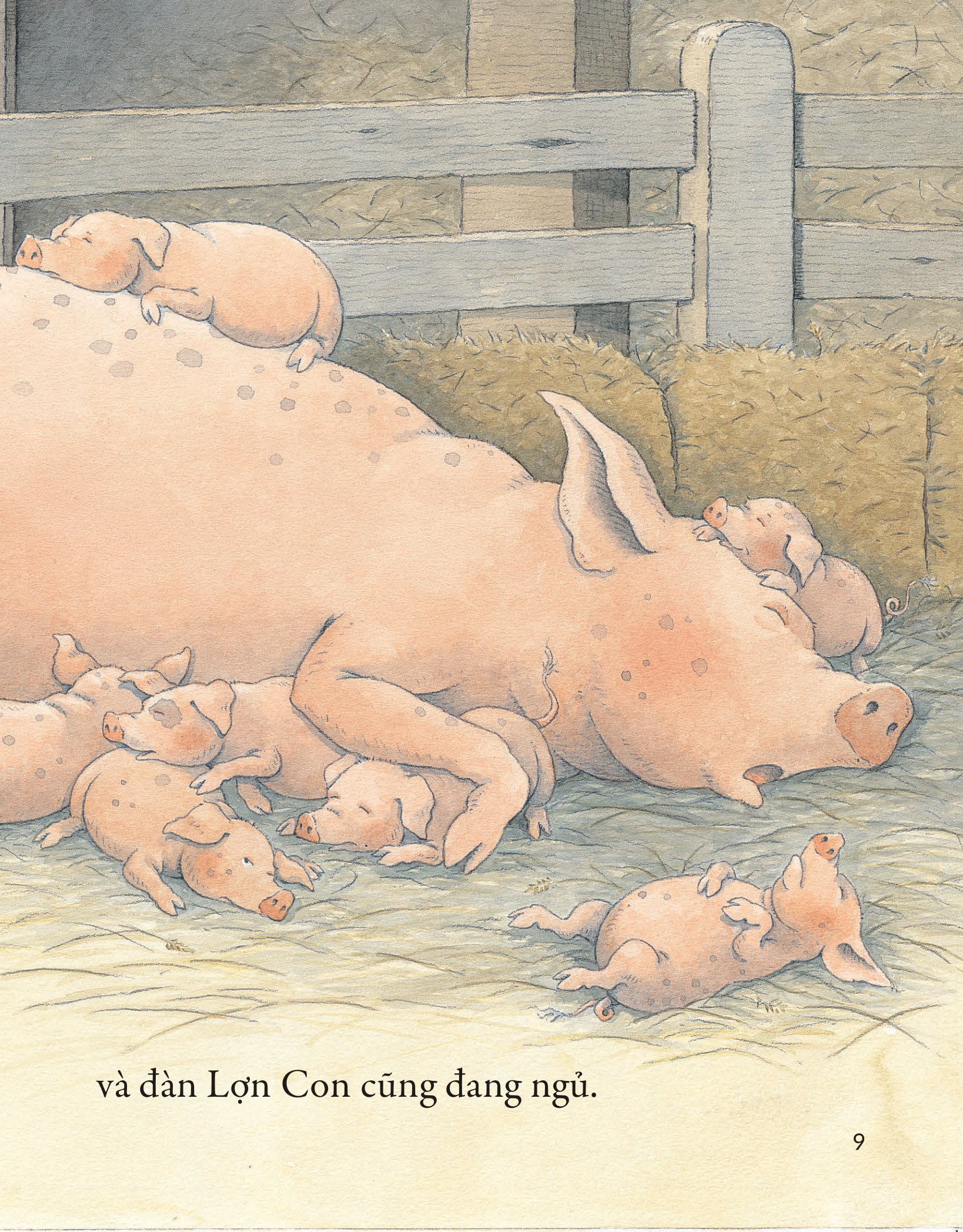 khò khò khò! ai ngáy to thế nhỉ? - Ảnh 6