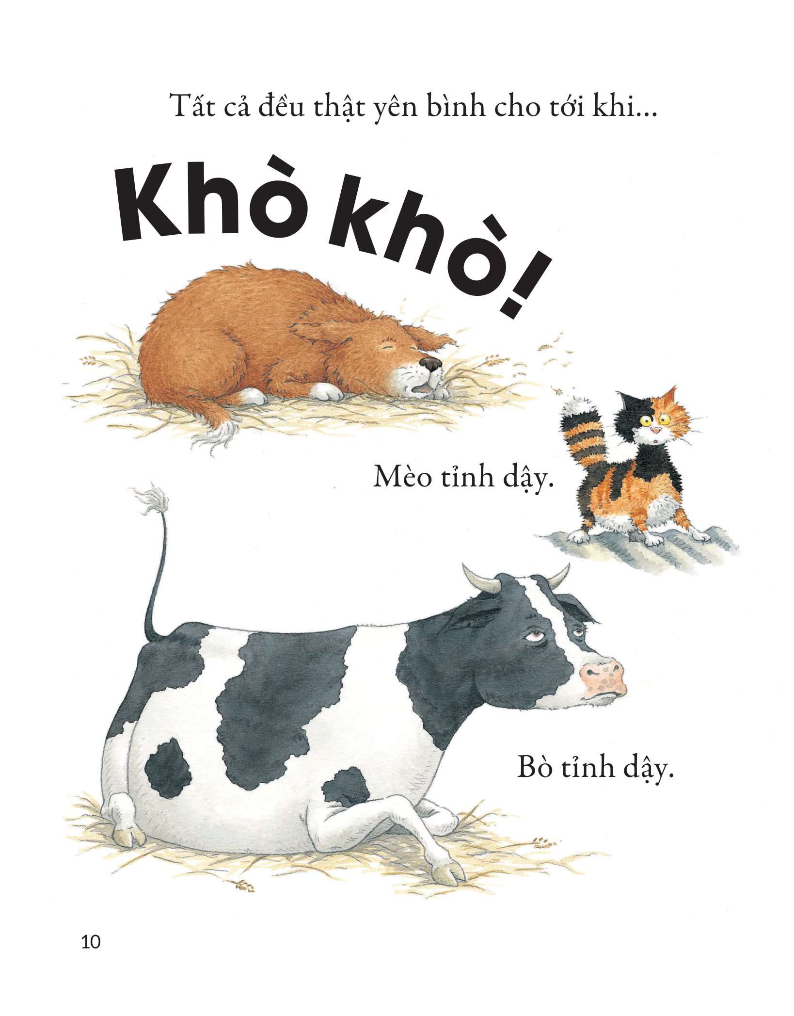 khò khò khò! ai ngáy to thế nhỉ? - Ảnh 7