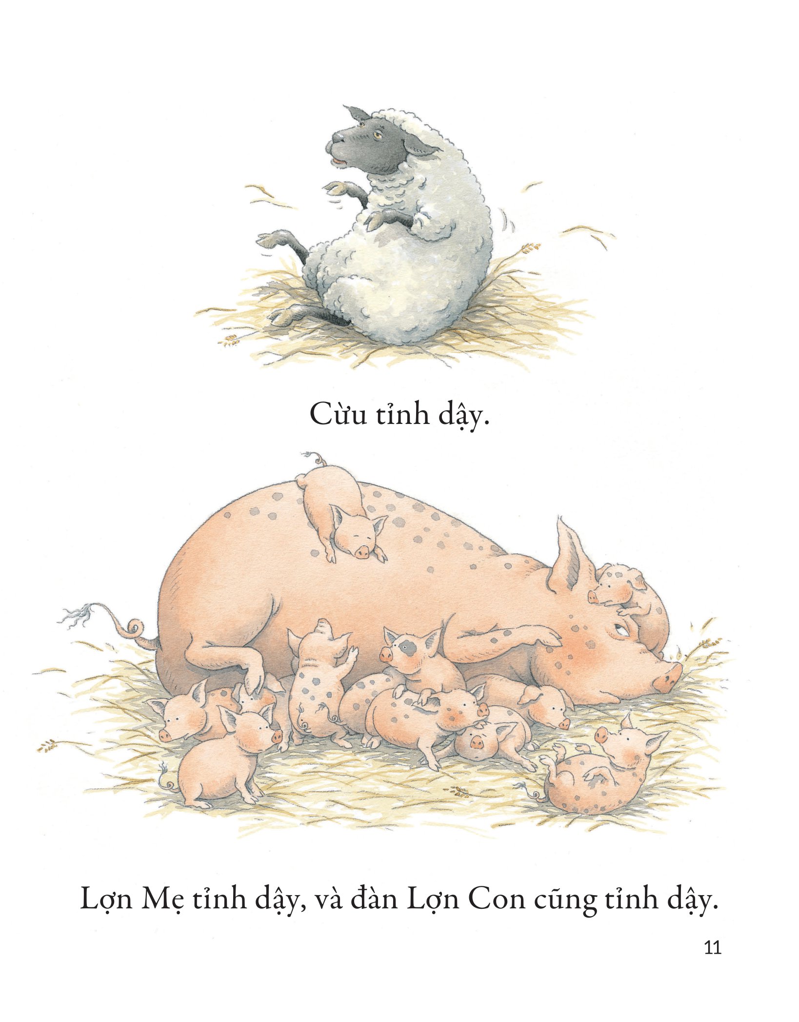 khò khò khò! ai ngáy to thế nhỉ? - Ảnh 8