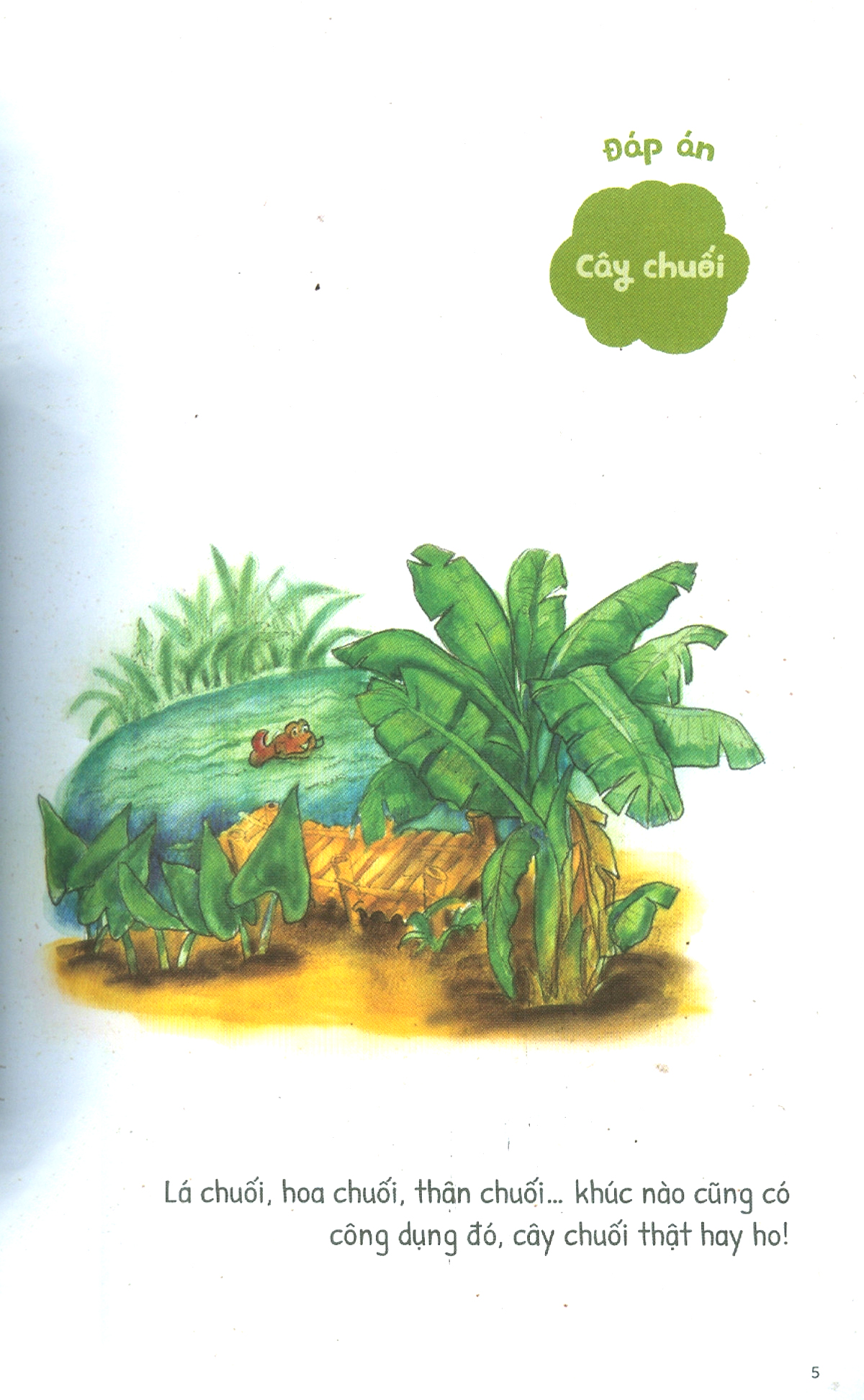 kho tàng câu đố dân gian bằng tranh - quê hương đất nước - Ảnh 3