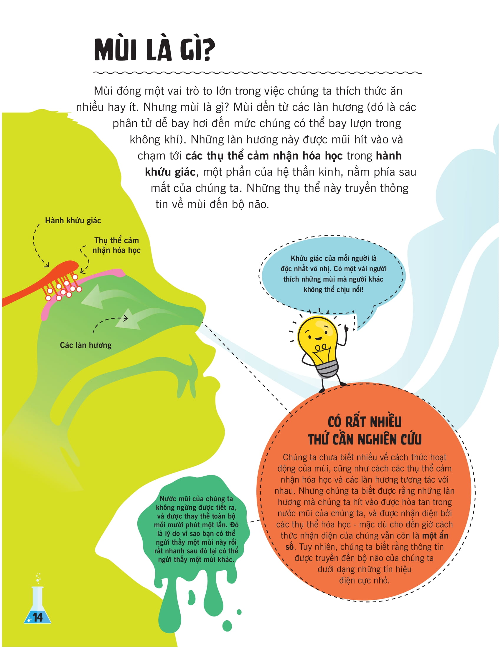 khoa học ăn được không? - Ảnh 12