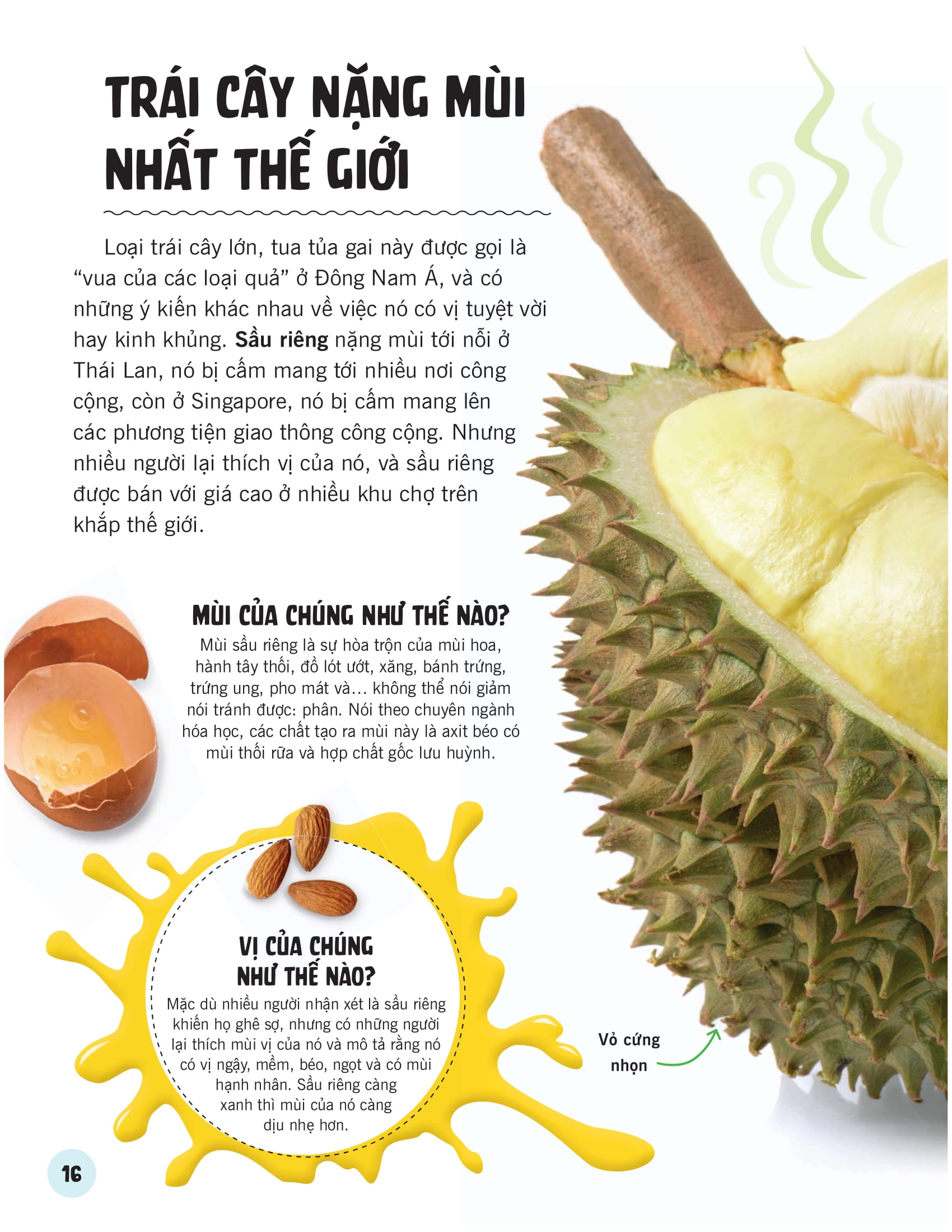 khoa học ăn được không? - Ảnh 14