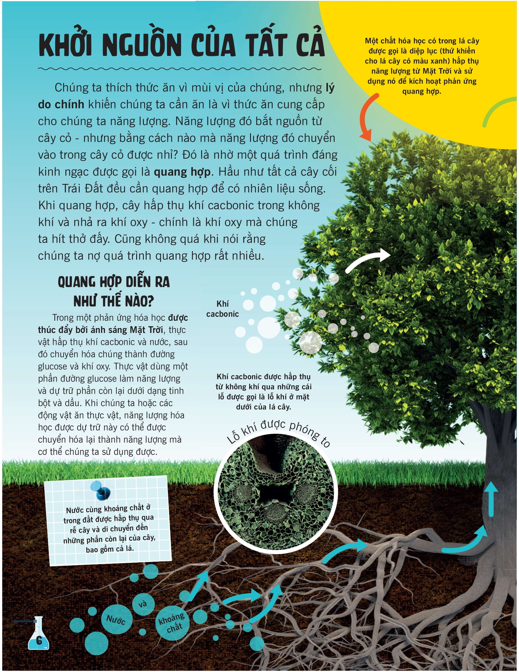 khoa học ăn được không? - Ảnh 4