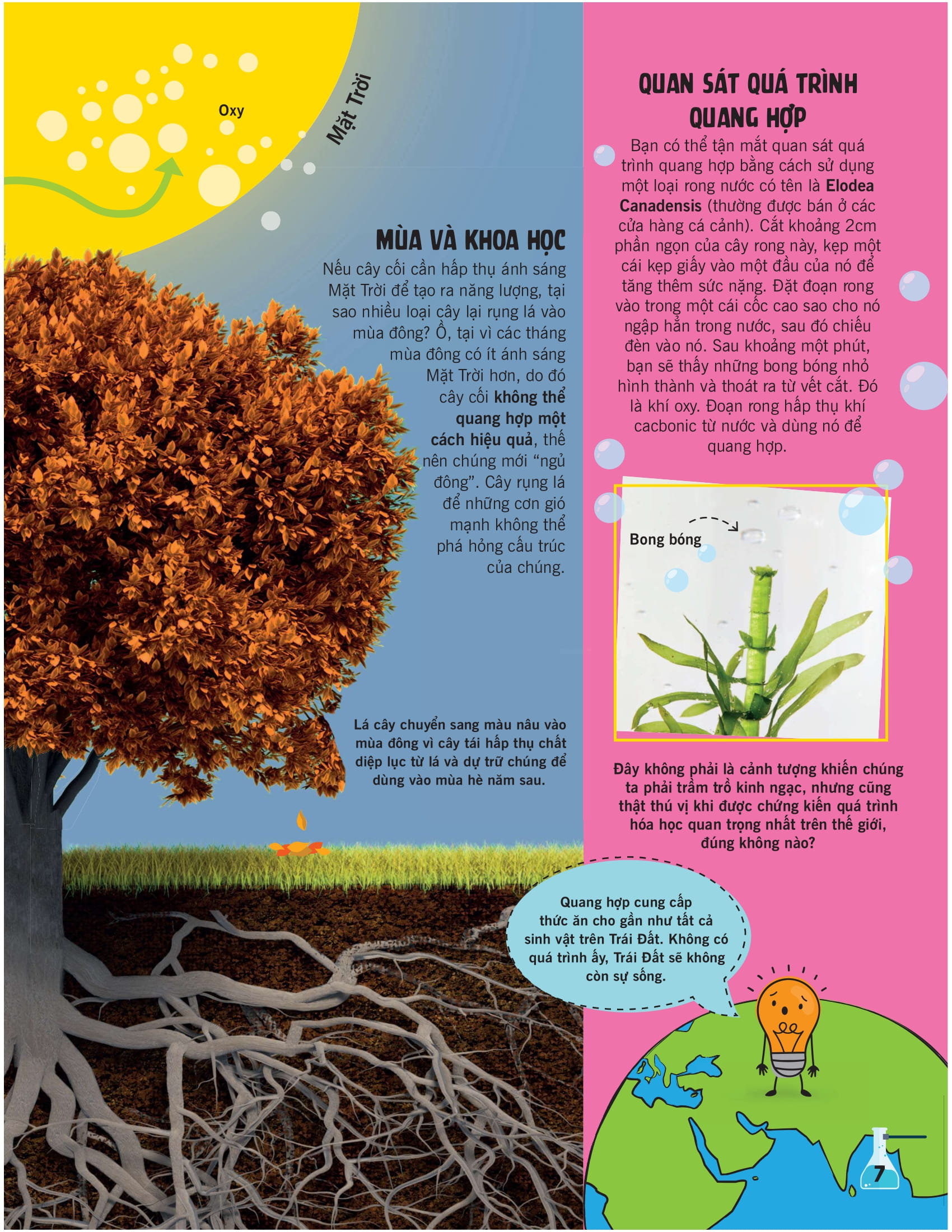 khoa học ăn được không? - Ảnh 5