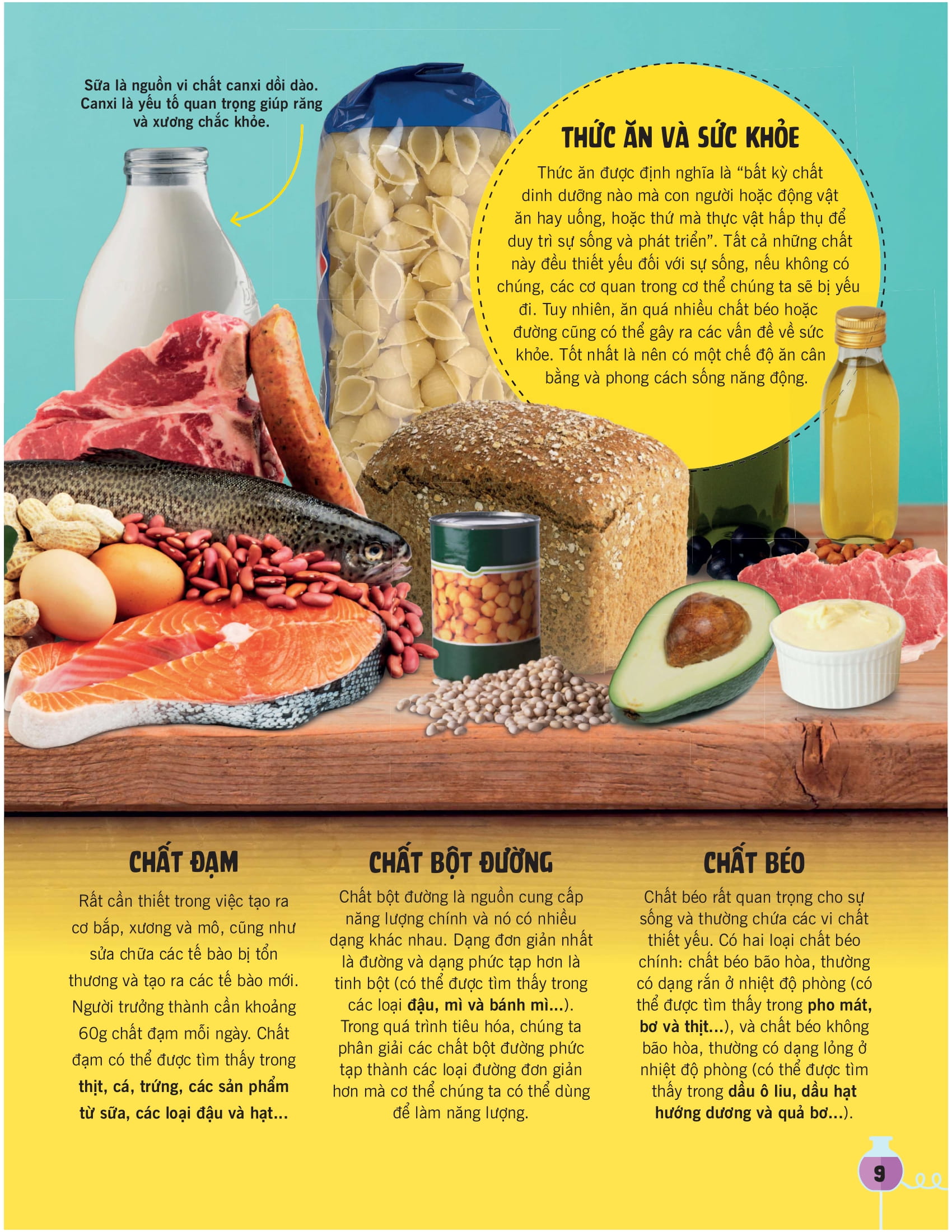 khoa học ăn được không? - Ảnh 7