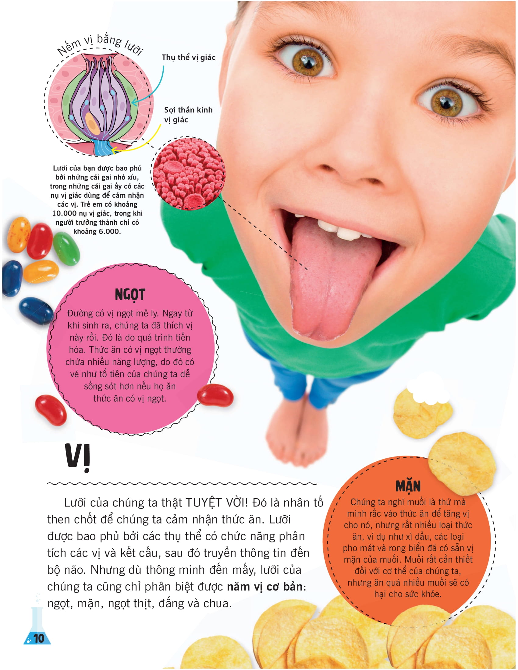 khoa học ăn được không? - Ảnh 8