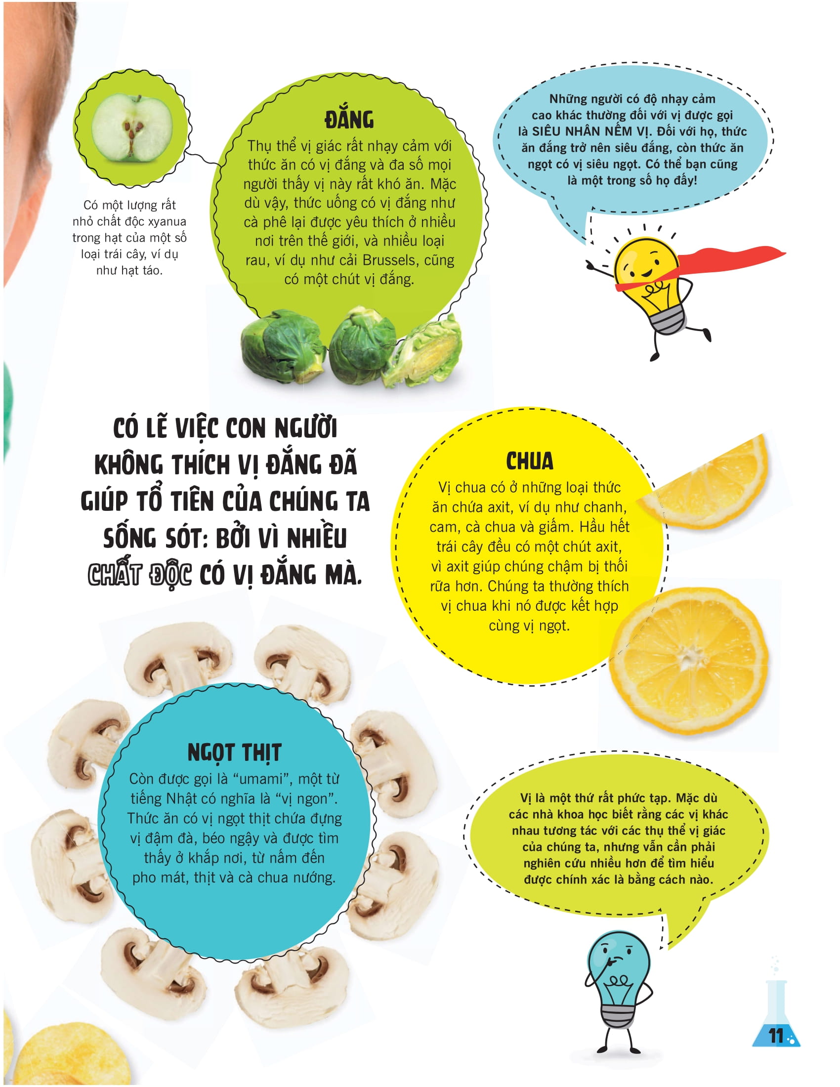 khoa học ăn được không? - Ảnh 9