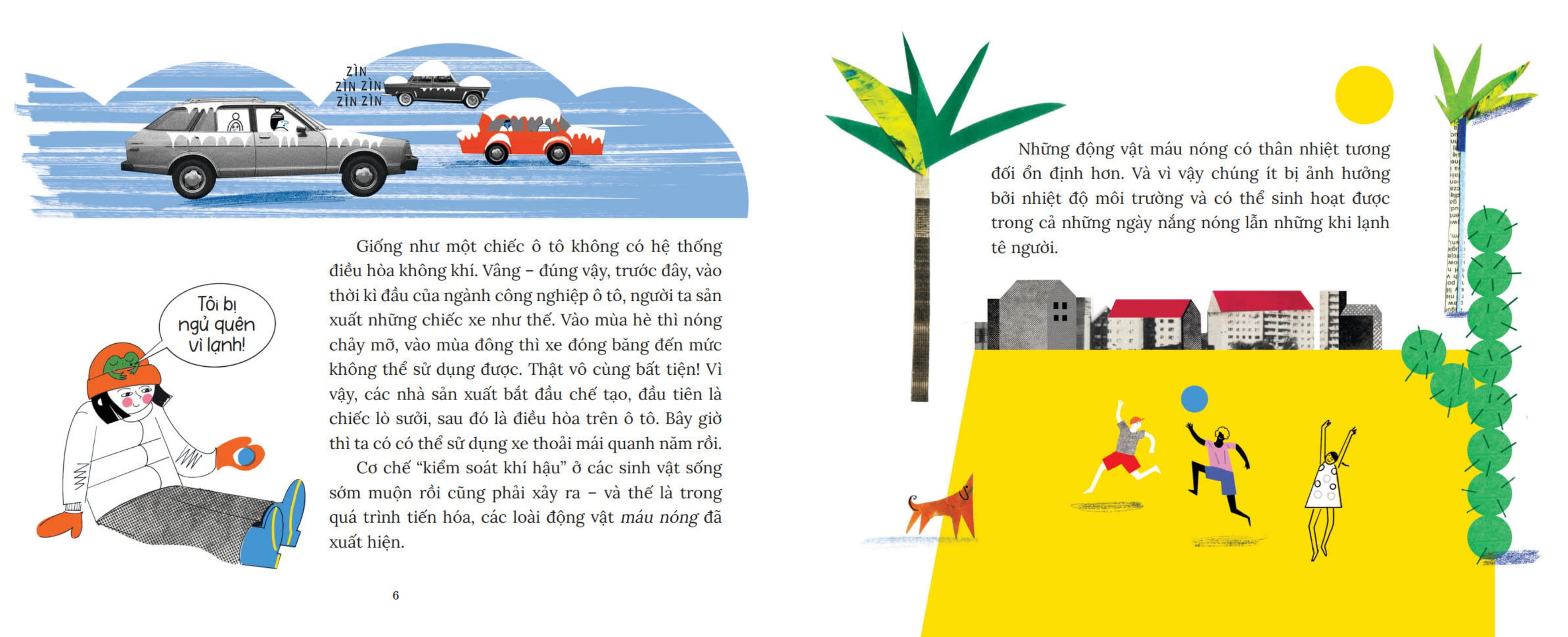 khoa học bỏ túi - cơn sốt chạy đâu rồi? - Ảnh 5