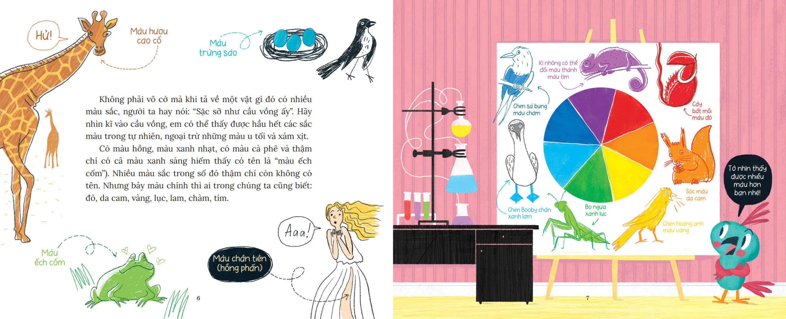 khoa học bỏ túi - làm sao đuổi kịp cầu vồng? - Ảnh 5