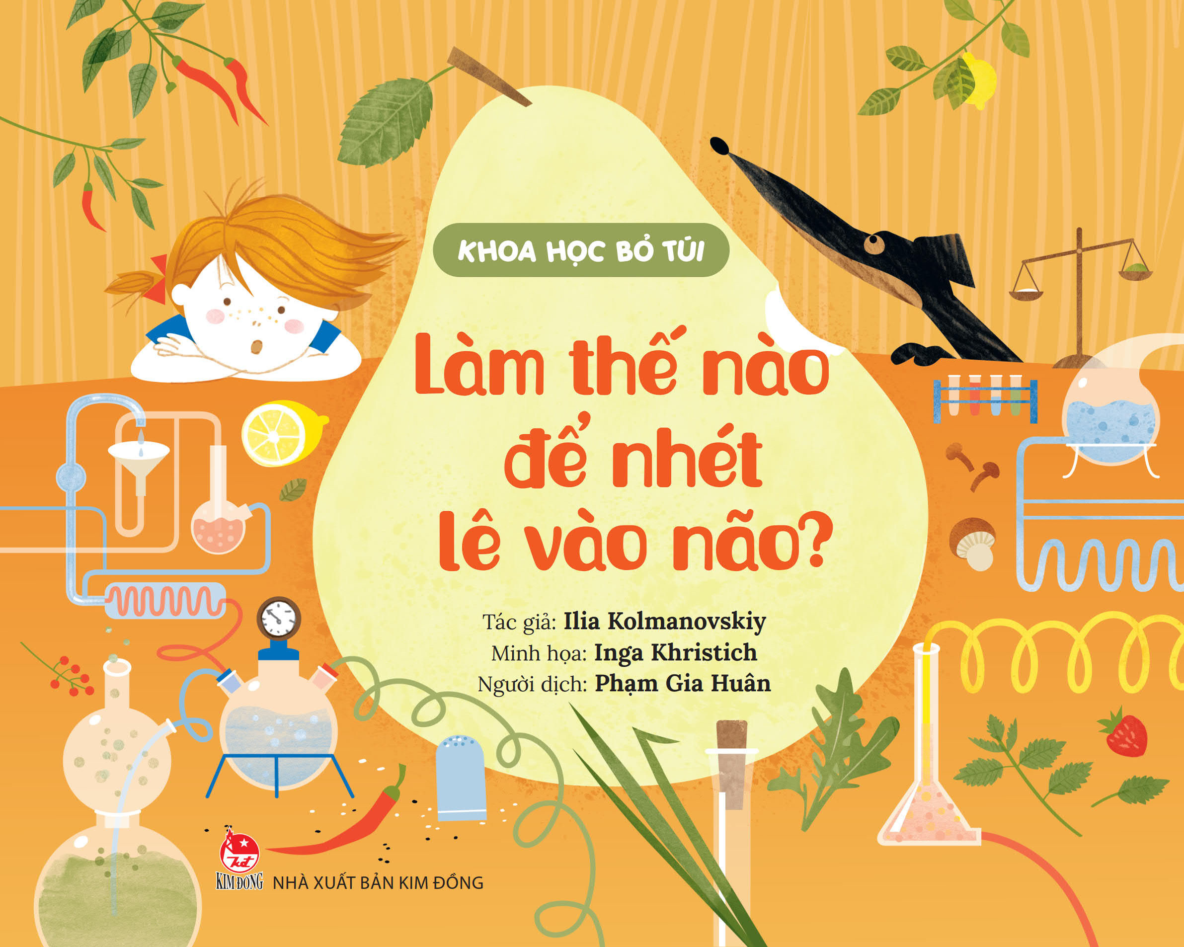 khoa học bỏ túi - làm thế nào để nhét lê vào não? - Ảnh 2