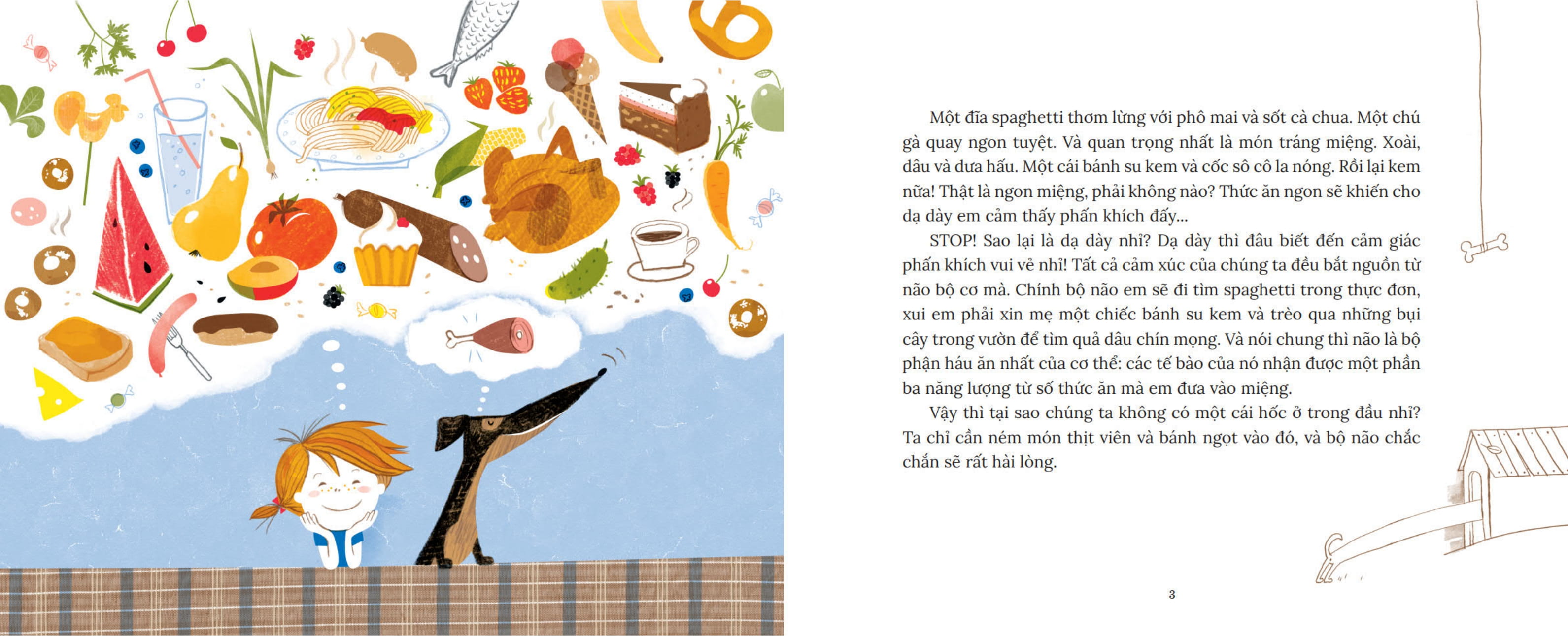 khoa học bỏ túi - làm thế nào để nhét lê vào não? - Ảnh 3