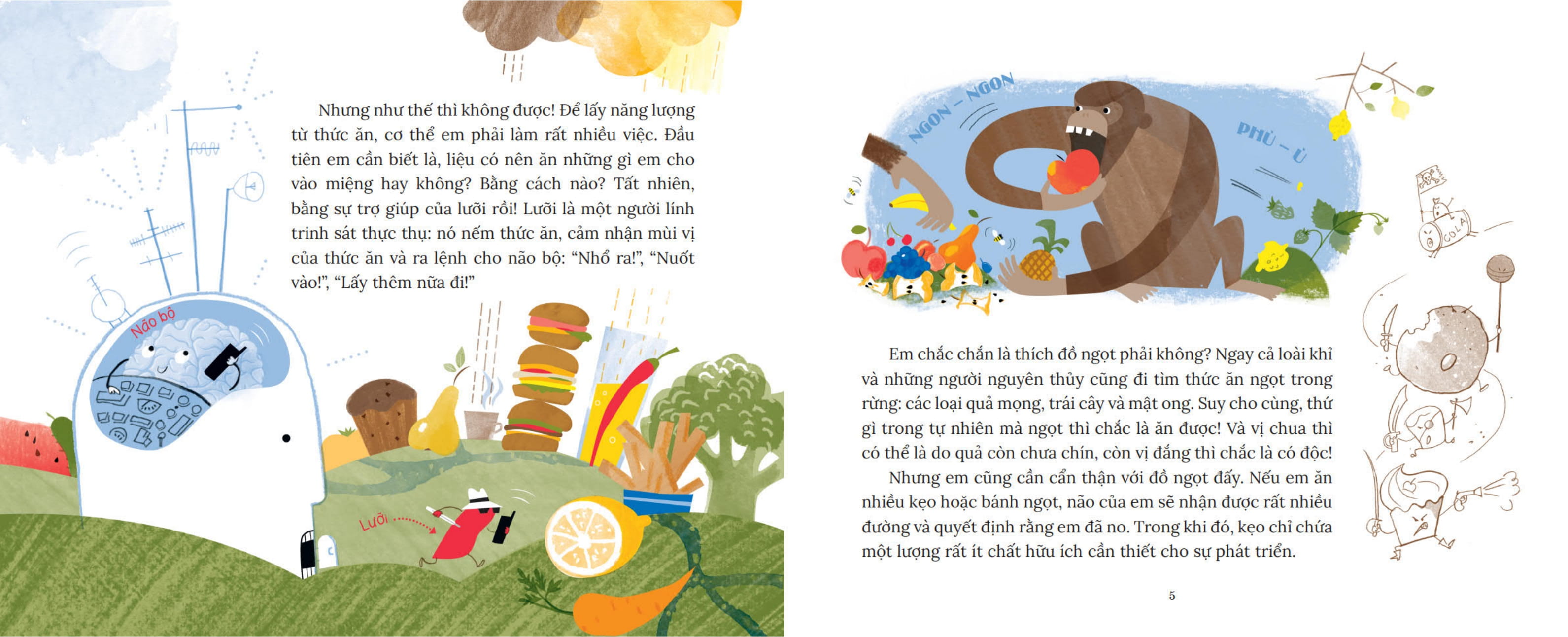 khoa học bỏ túi - làm thế nào để nhét lê vào não? - Ảnh 4