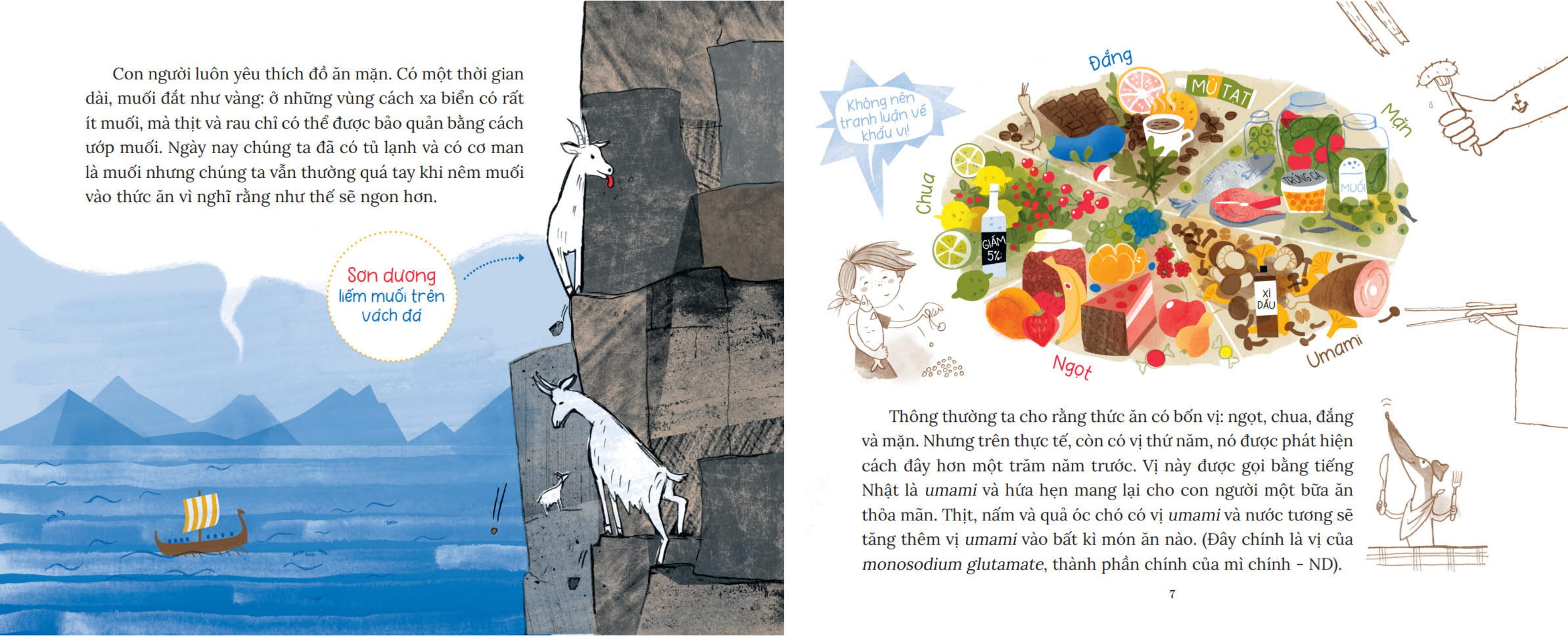 khoa học bỏ túi - làm thế nào để nhét lê vào não? - Ảnh 5