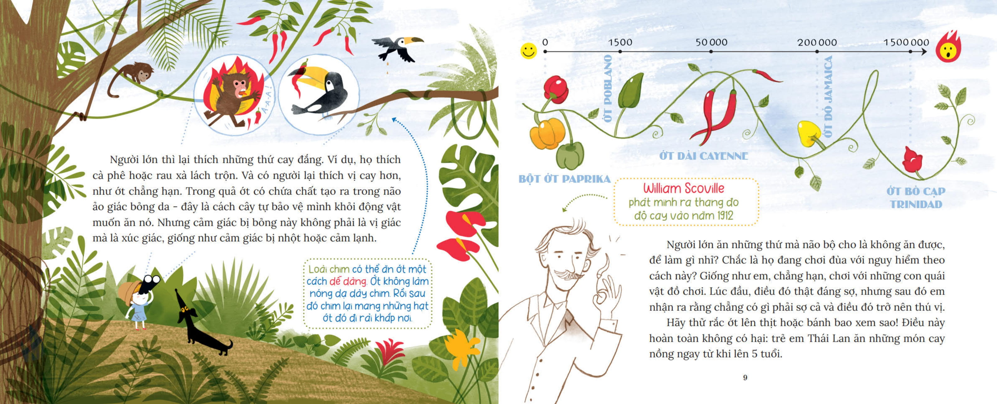 khoa học bỏ túi - làm thế nào để nhét lê vào não? - Ảnh 6