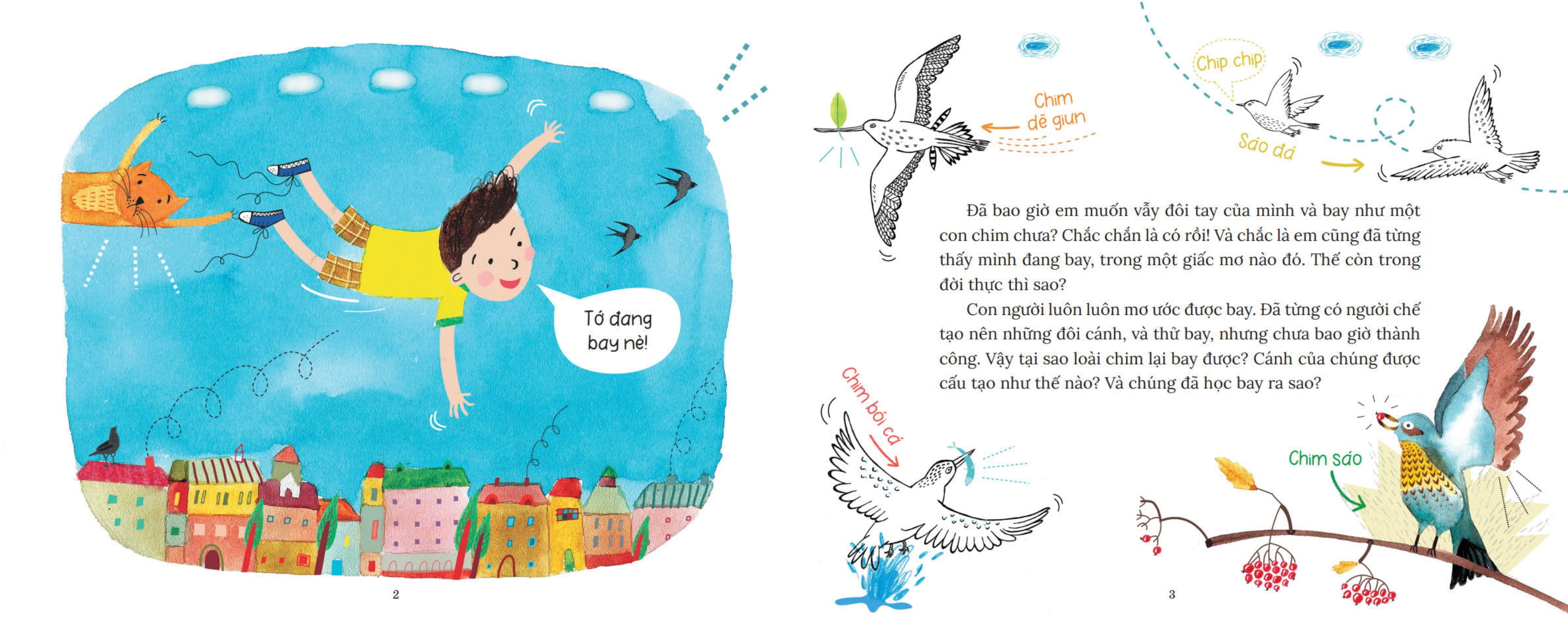 khoa học bỏ túi - tại sao chim bay không rơi? - Ảnh 3