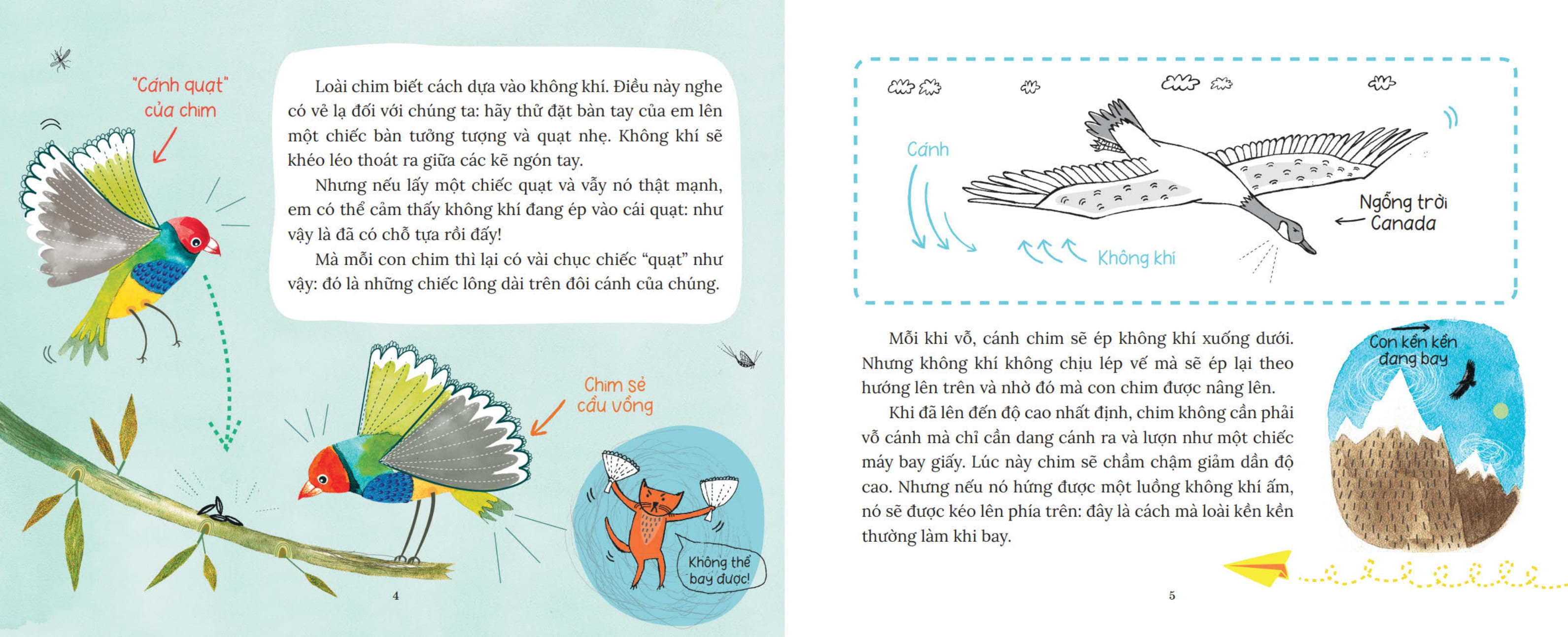 khoa học bỏ túi - tại sao chim bay không rơi? - Ảnh 4