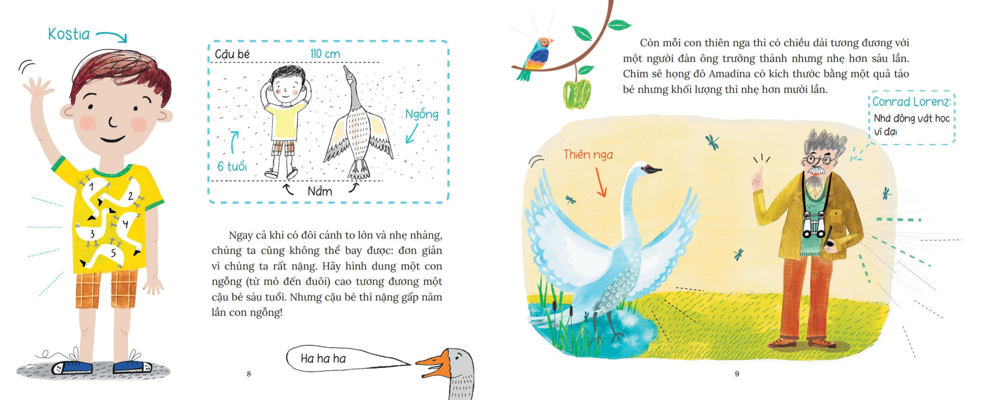 khoa học bỏ túi - tại sao chim bay không rơi? - Ảnh 6