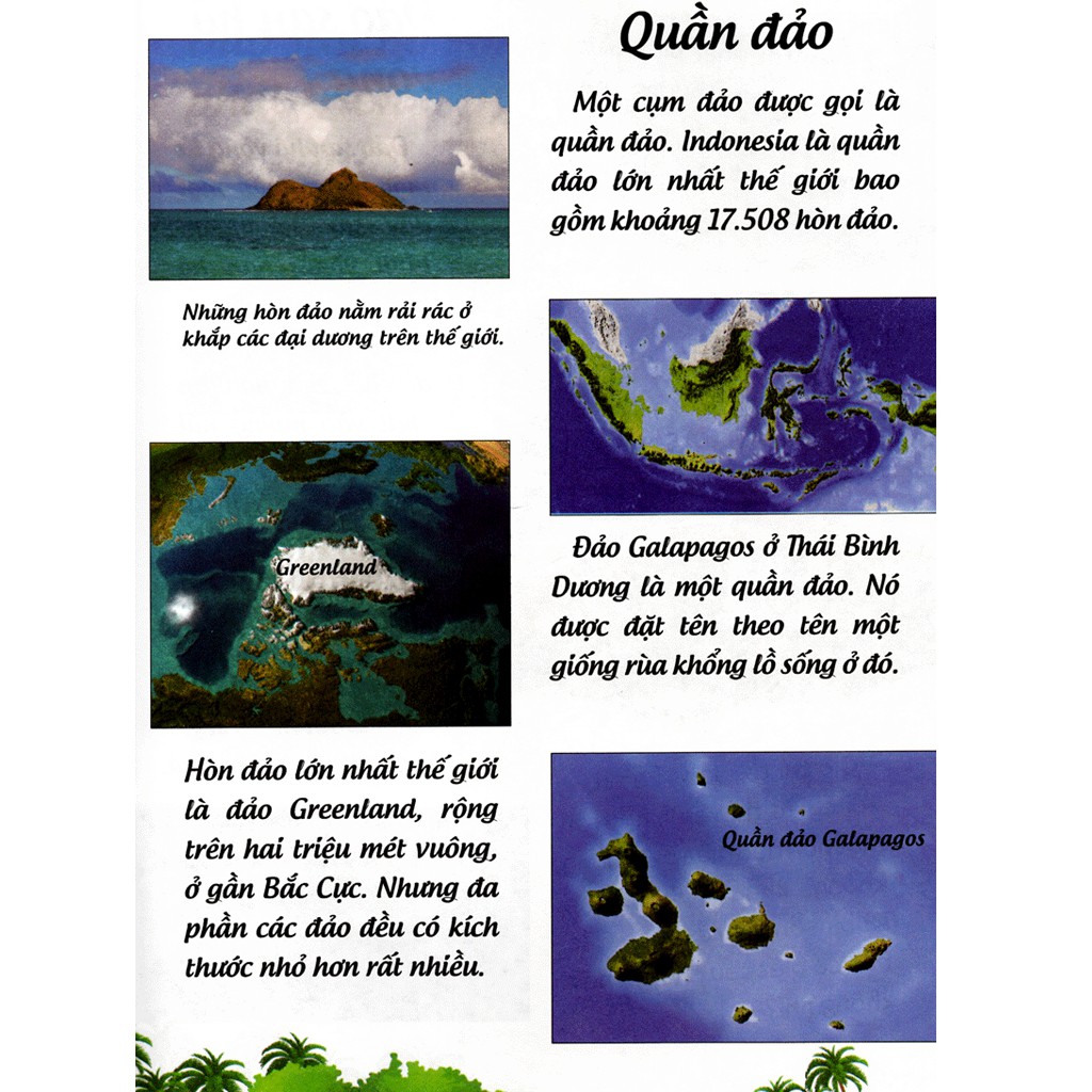 khoa học cứu mạng - phiêu lưu trên hoang đảo - Ảnh 6