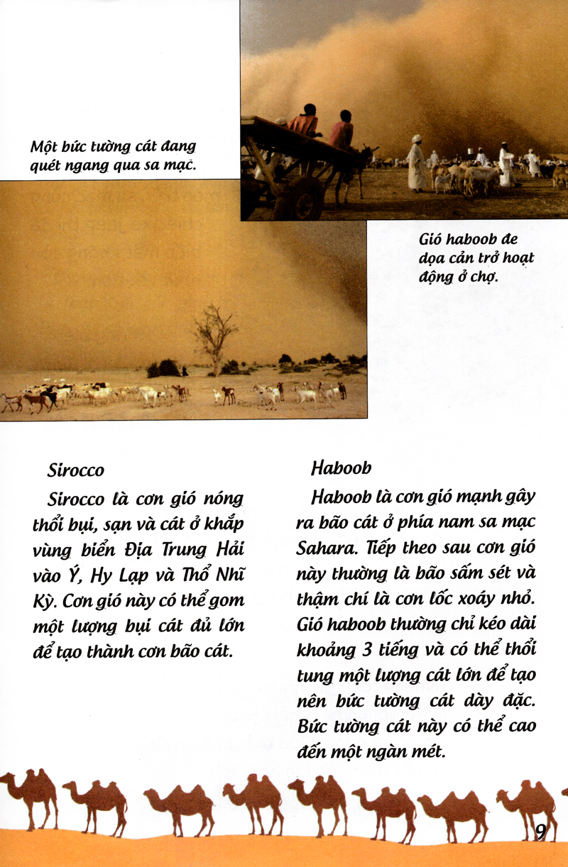 khoa học cứu mạng - phiêu lưu trong sa mạc - Ảnh 10