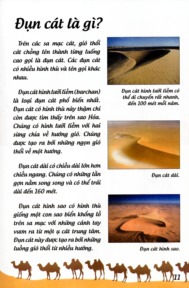 khoa học cứu mạng - phiêu lưu trong sa mạc - Ảnh 12