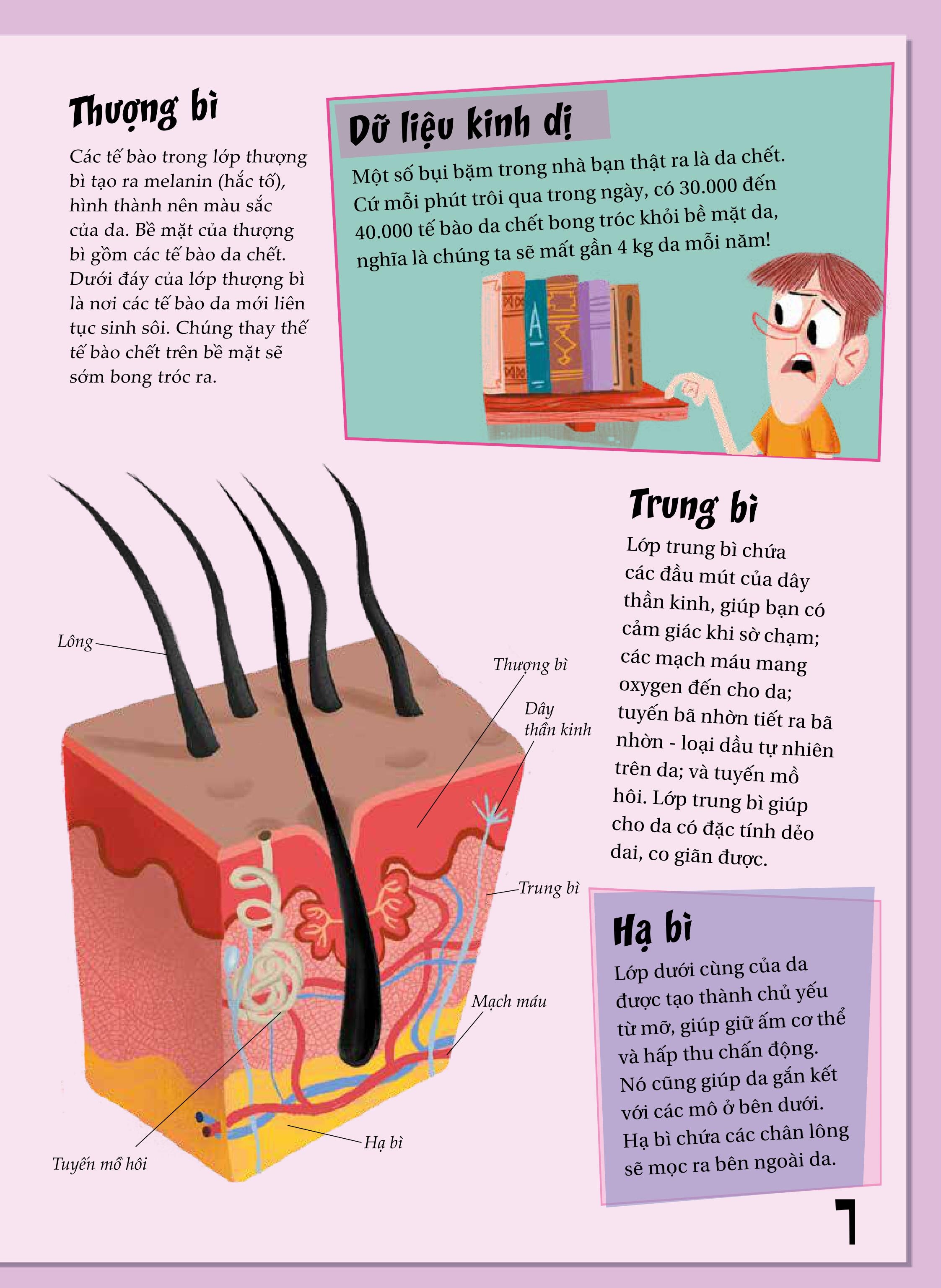 khoa học diệu kì: mụn trứng cá và mụn cóc - sự thật ngứa ngáy về da - Ảnh 6