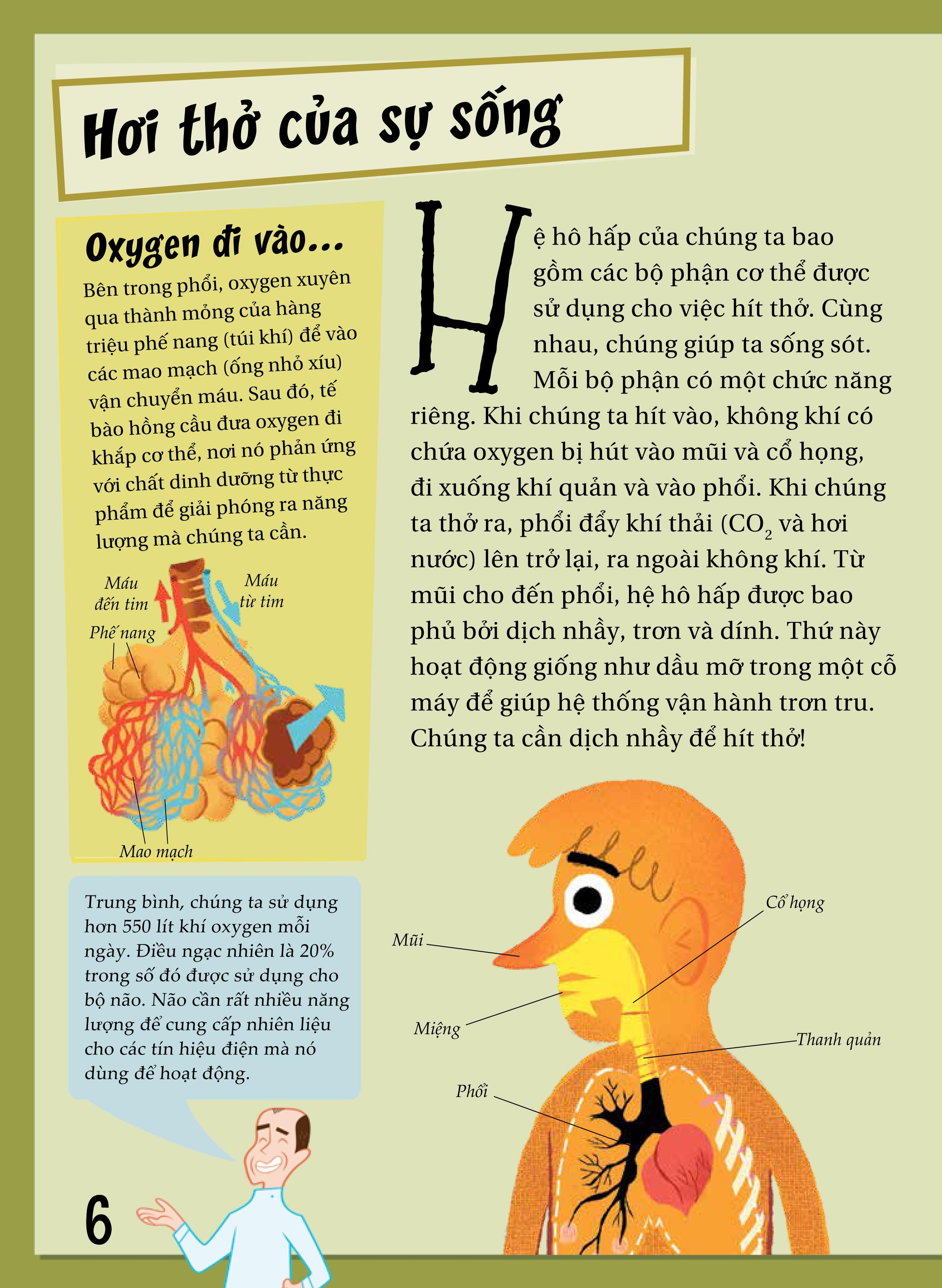 khoa học diệu kì: nước mũi và đờm dãi - sự thật nhầy nhụa về việc hít thở - Ảnh 5