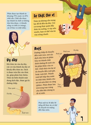 khoa học diệu kì: phân và xì hơi - sự bốc mùi về hệ tiêu hóa - Ảnh 6