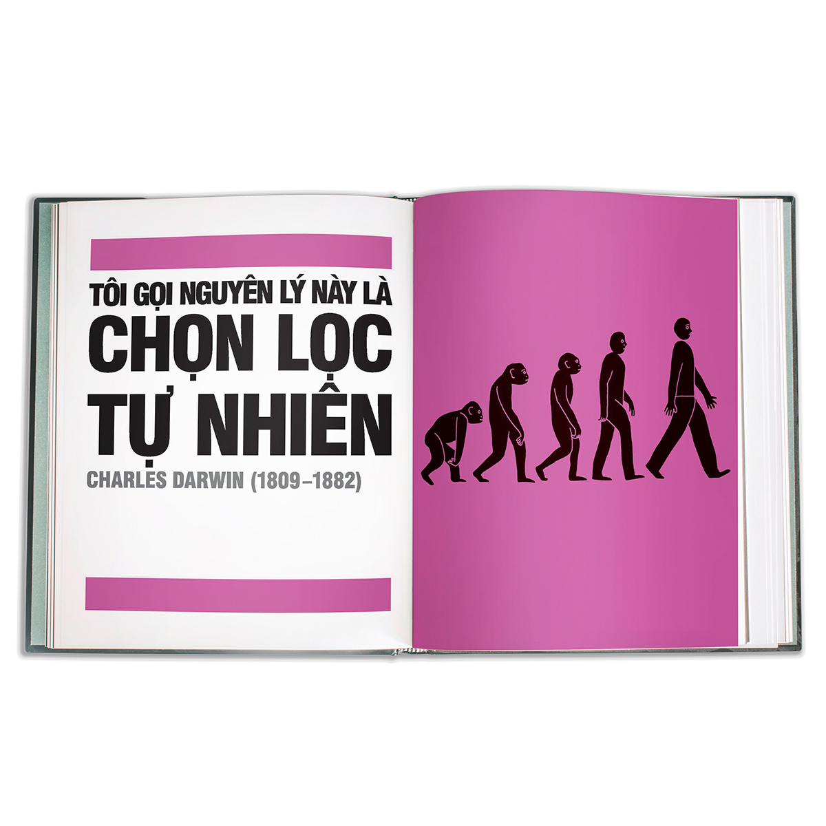 khoa học - khái lược những tư tưởng lớn - bìa cứng (tái bản 2023) - Ảnh 6