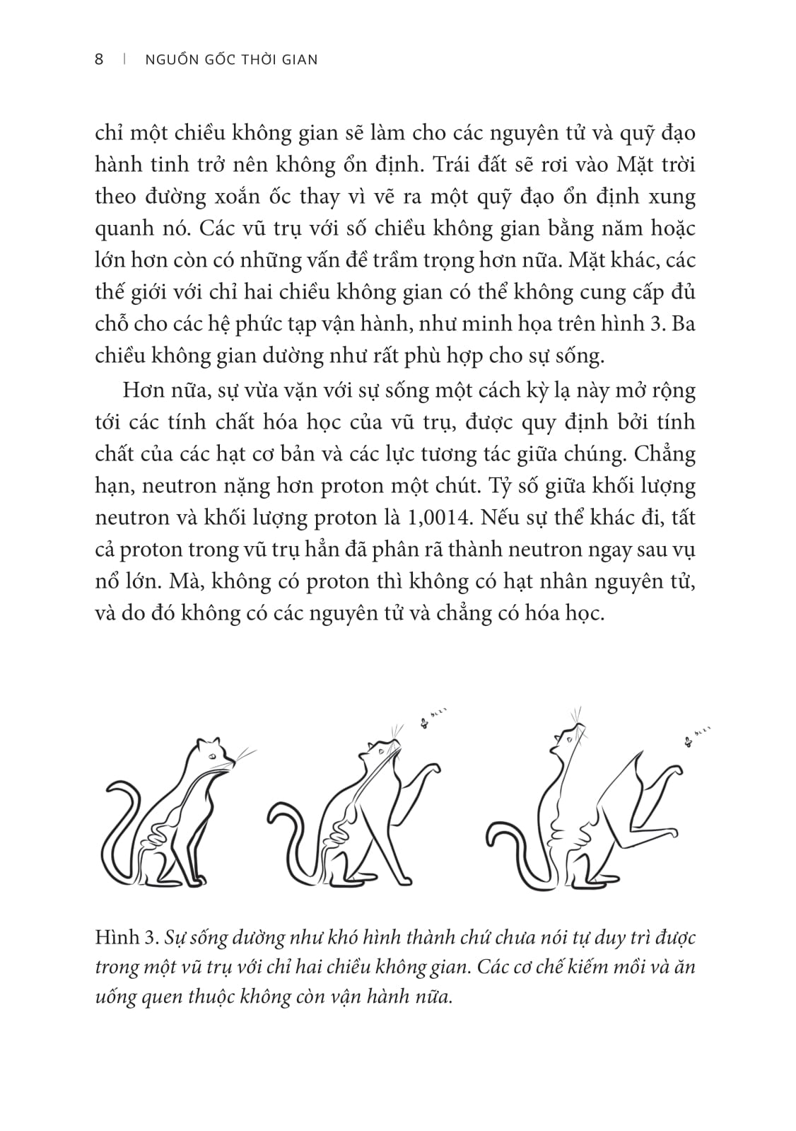 Khoa Hoc Kham Pha - On The Origin Of Time - Nguon Goc Thoi Gian - Ly Thuyet Cuoi Cung Cua Stephen Hawking - Ảnh 12