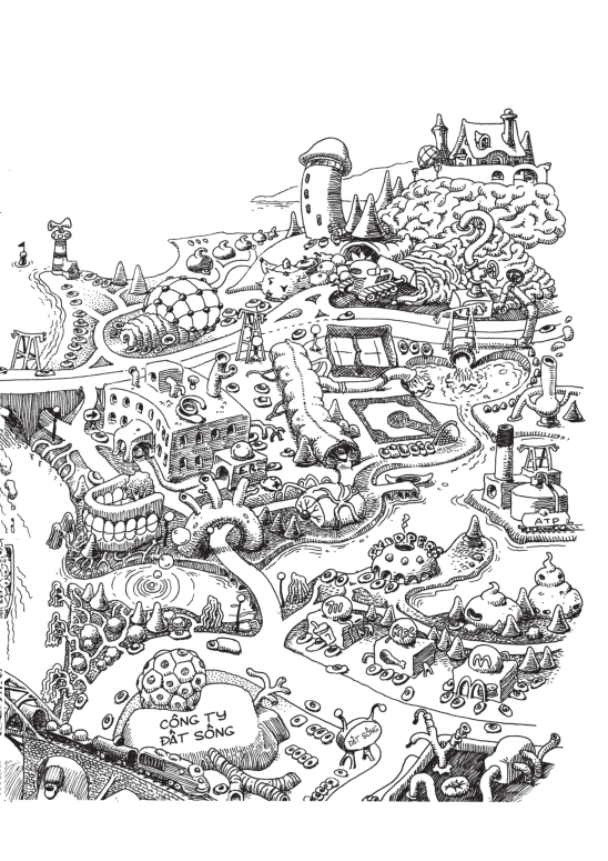 khoa học khám phá - you stay young - bạn mãi trẻ - Ảnh 14