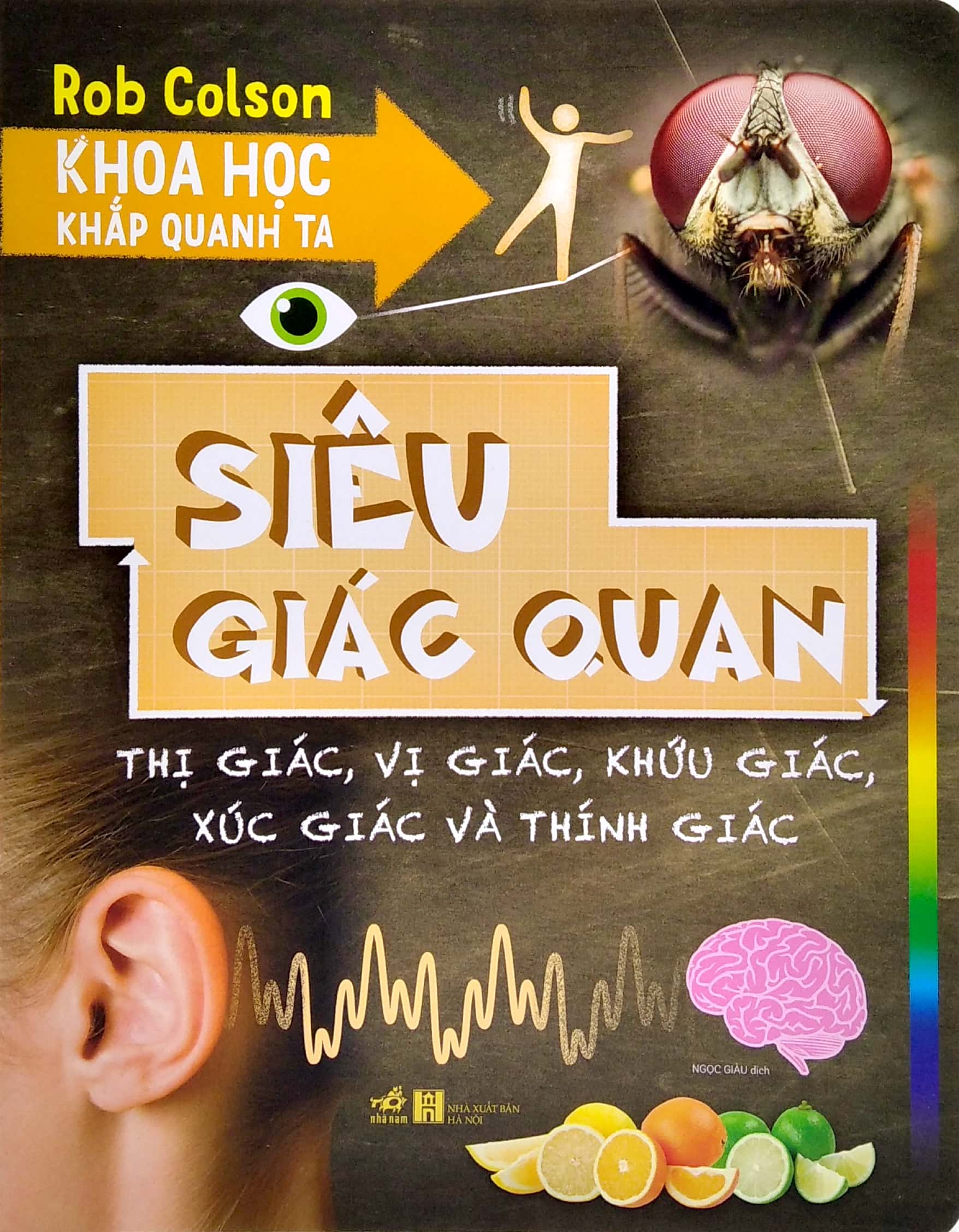 khoa học khắp quanh ta - siêu giác quan - Ảnh 2