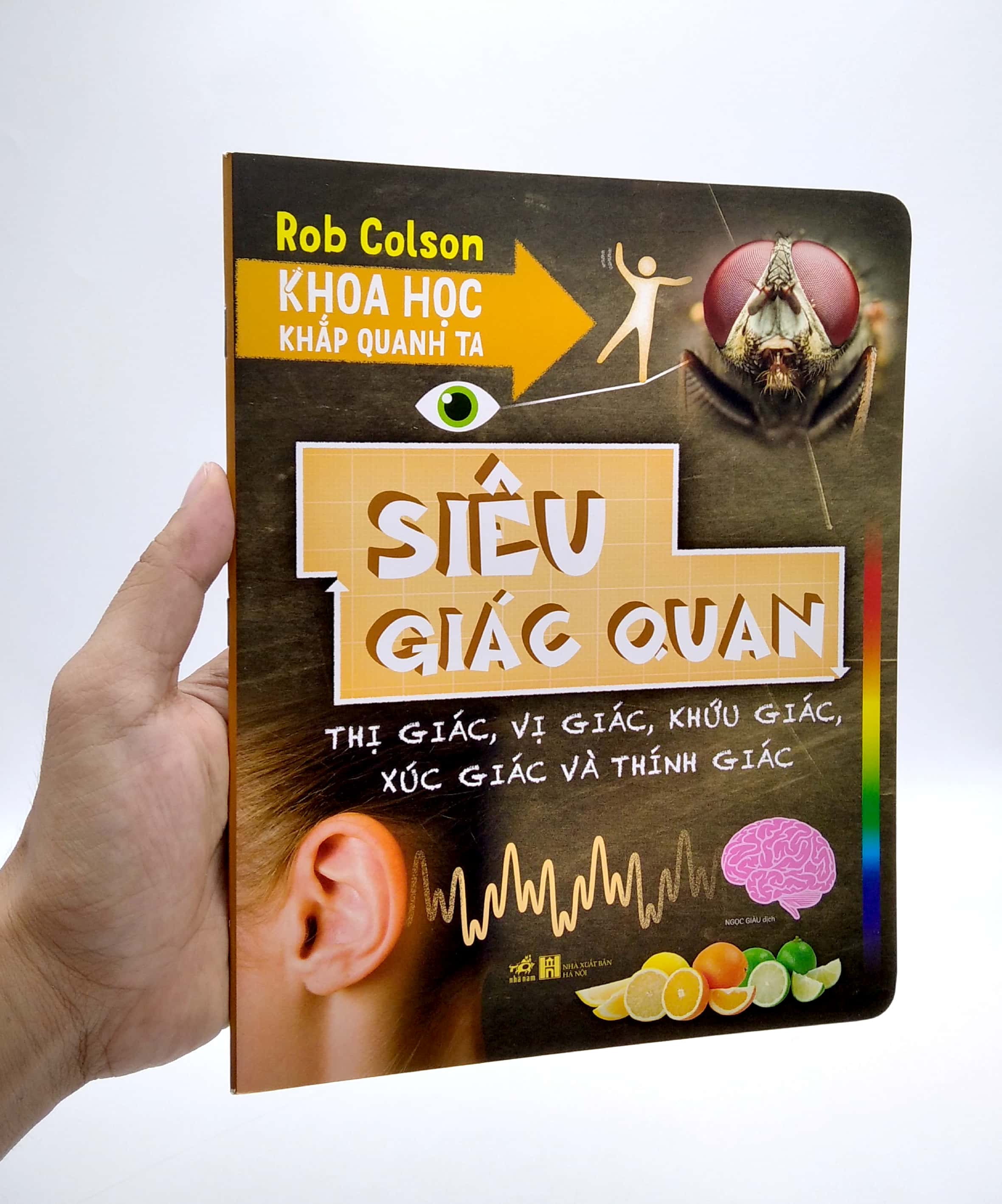 khoa học khắp quanh ta - siêu giác quan - Ảnh 7