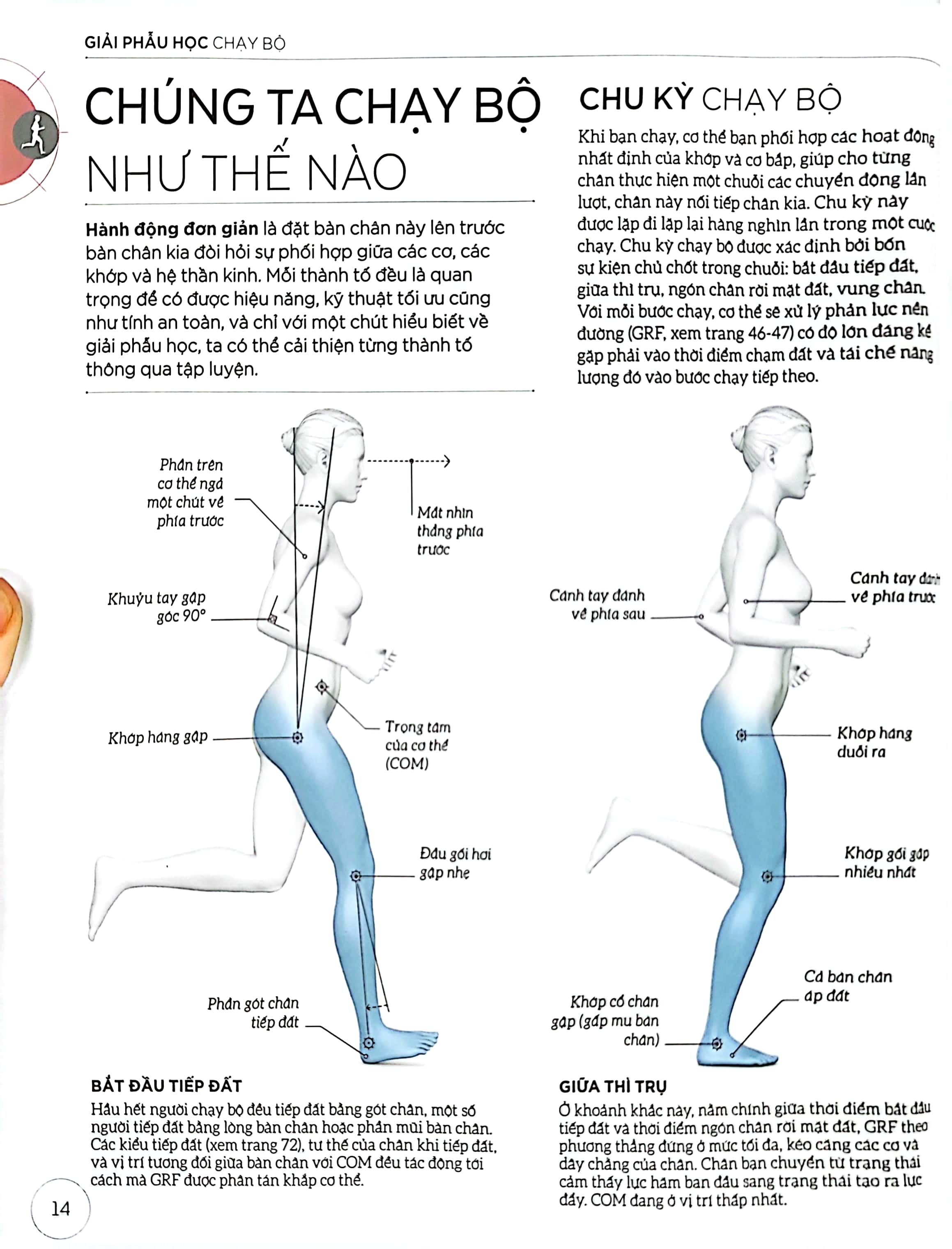khoa học về chạy bộ - phân tích kỹ thuật, phòng ngừa chấn thương, đổi mới cách tập luyện - bìa cứng - Ảnh 11