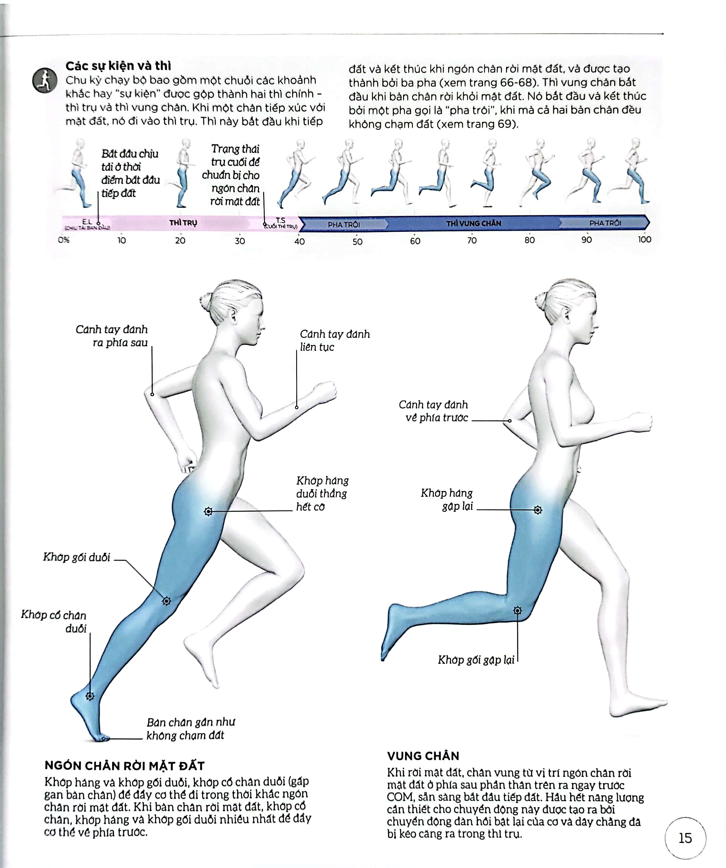 khoa học về chạy bộ - phân tích kỹ thuật, phòng ngừa chấn thương, đổi mới cách tập luyện - bìa cứng - Ảnh 12