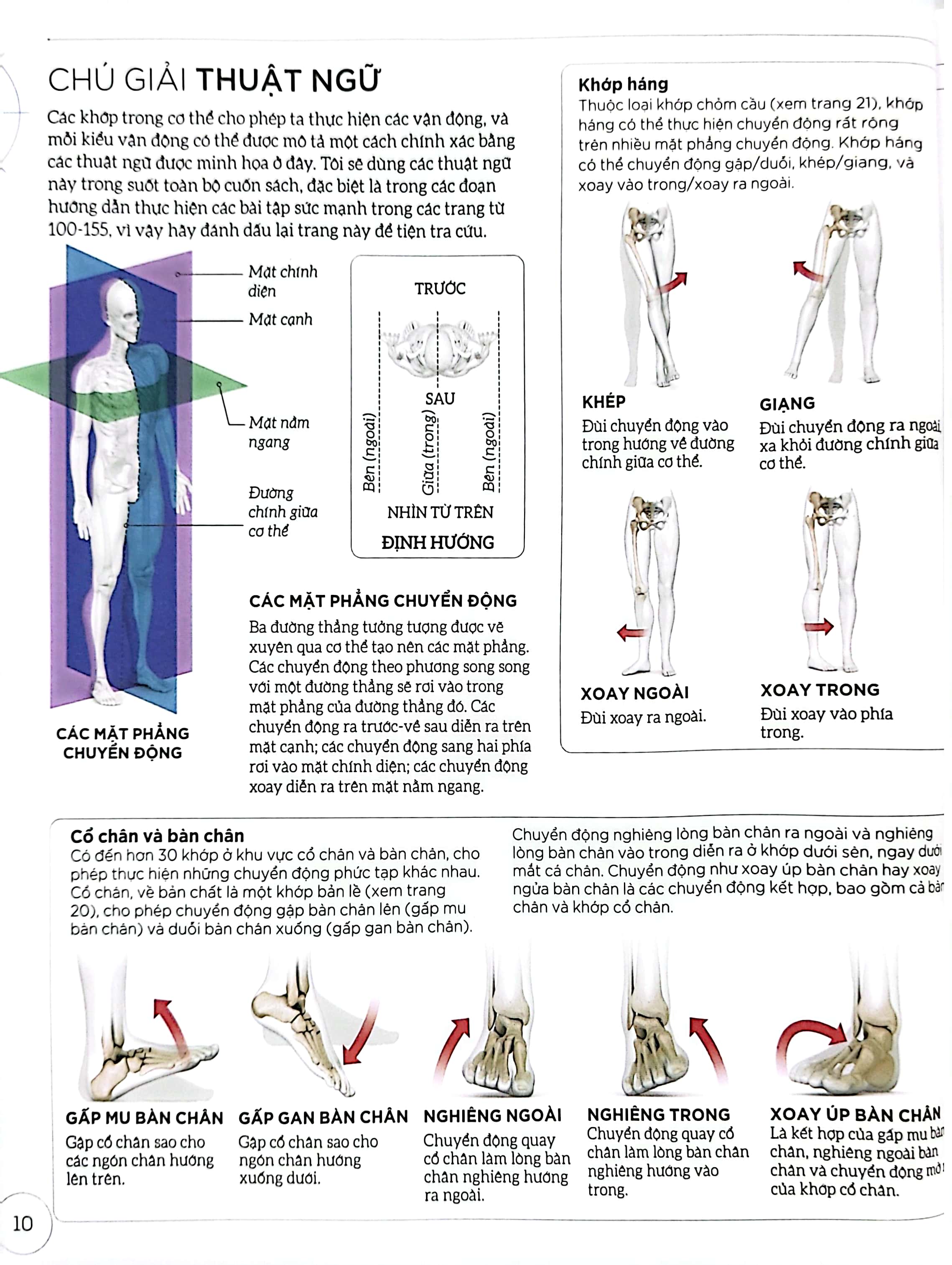 khoa học về chạy bộ - phân tích kỹ thuật, phòng ngừa chấn thương, đổi mới cách tập luyện - bìa cứng - Ảnh 9