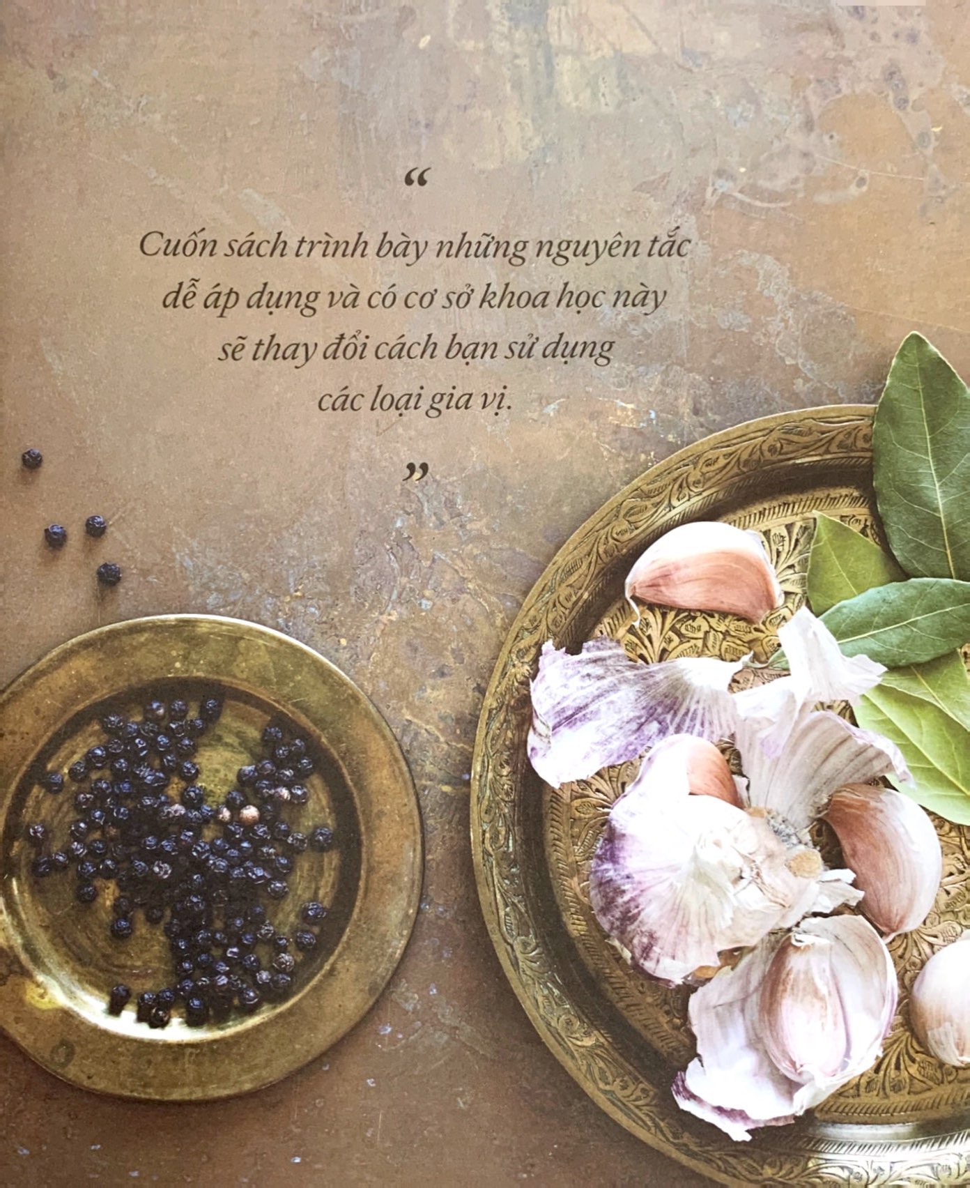 khoa học về gia vị - hiểu các kết nối hương vị và cách mạng hóa việc nấu ăn - bìa cứng - Ảnh 5