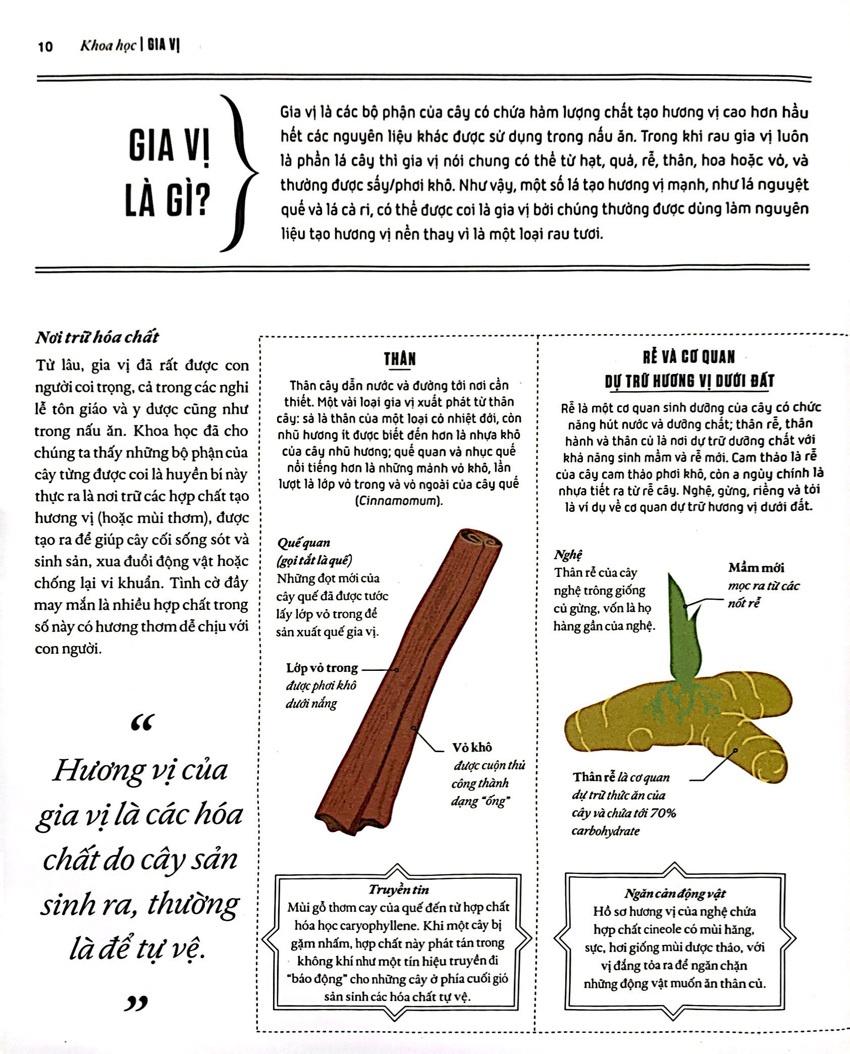 khoa học về gia vị - hiểu các kết nối hương vị và cách mạng hóa việc nấu ăn - bìa cứng - Ảnh 7