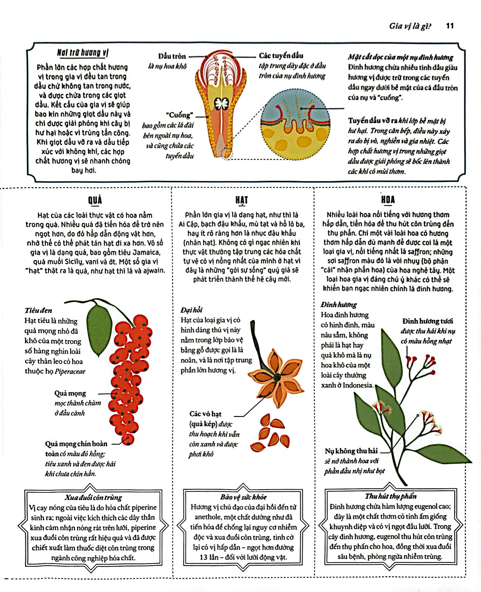 khoa học về gia vị - hiểu các kết nối hương vị và cách mạng hóa việc nấu ăn - bìa cứng - Ảnh 8