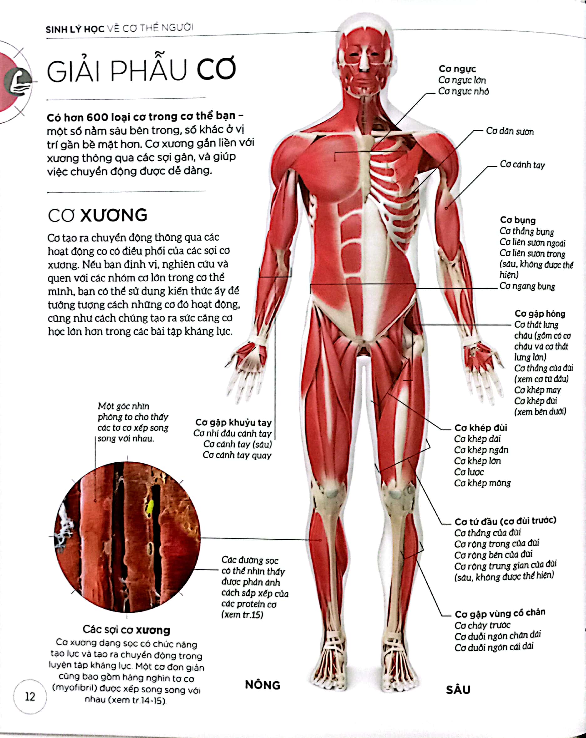 khoa học về tập kháng lực - bìa cứng - Ảnh 4